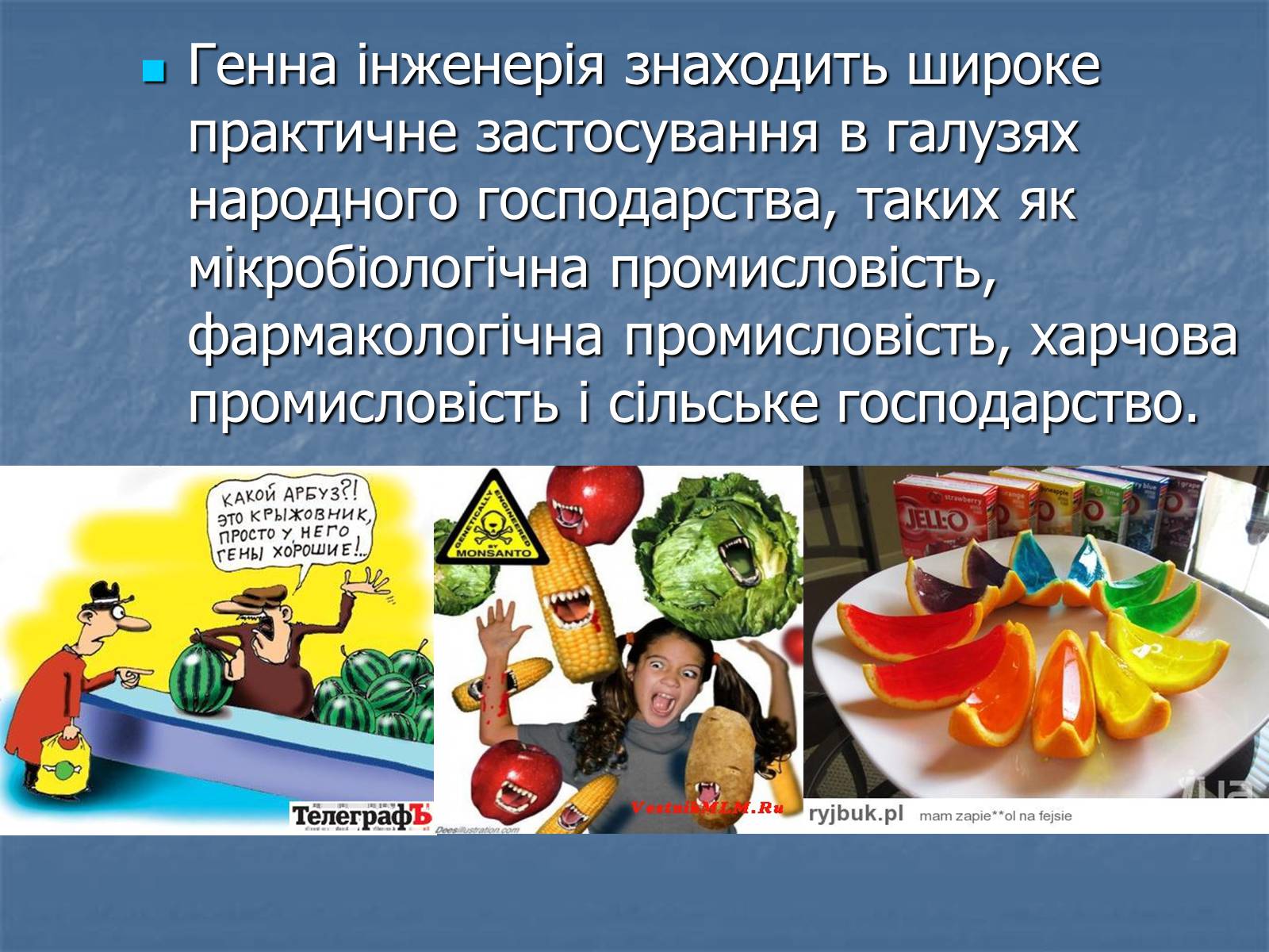 Презентація на тему «Генна інженерія та її досягнення» (варіант 2) - Слайд #5 Презентація на тему «Генна інженерія та її досягнення» (варіант 2) - Слайд #5