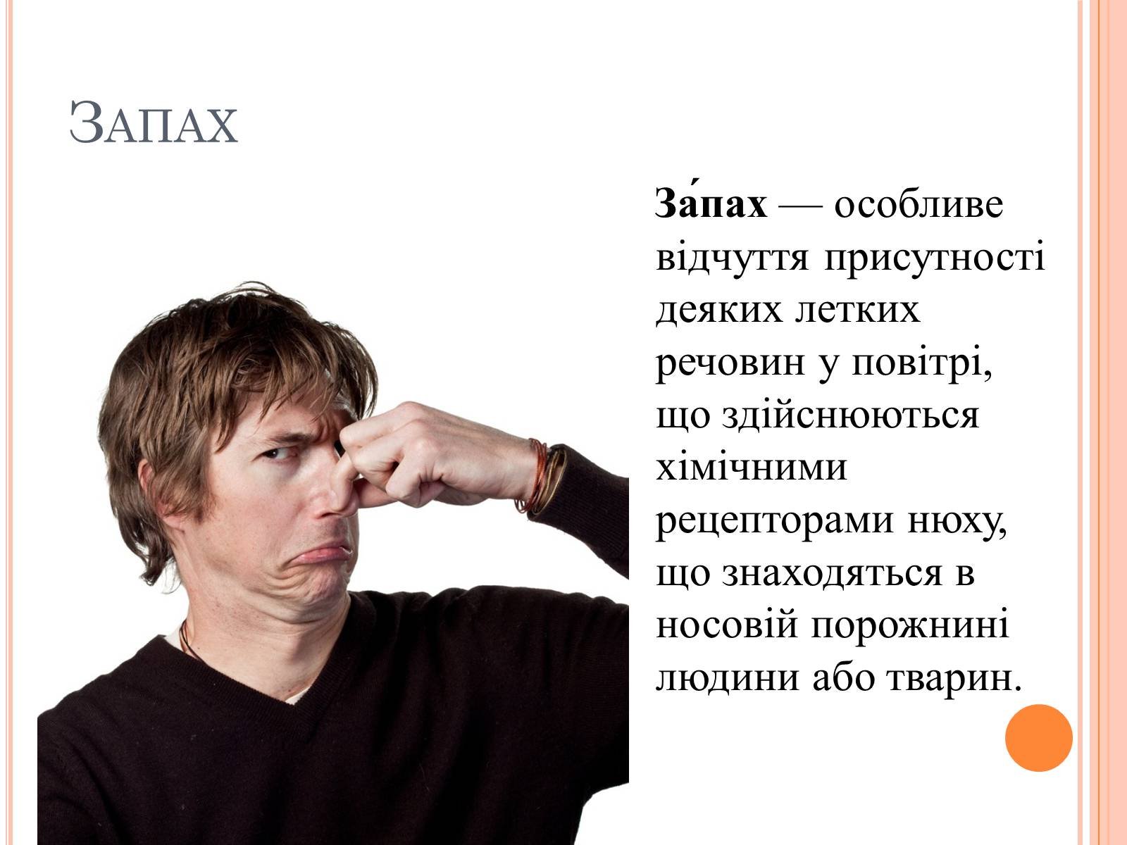 Презентація на тему «Щось велике в лісі здохло» - Слайд #3 Презентація на тему «Щось велике в лісі здохло» - Слайд #3