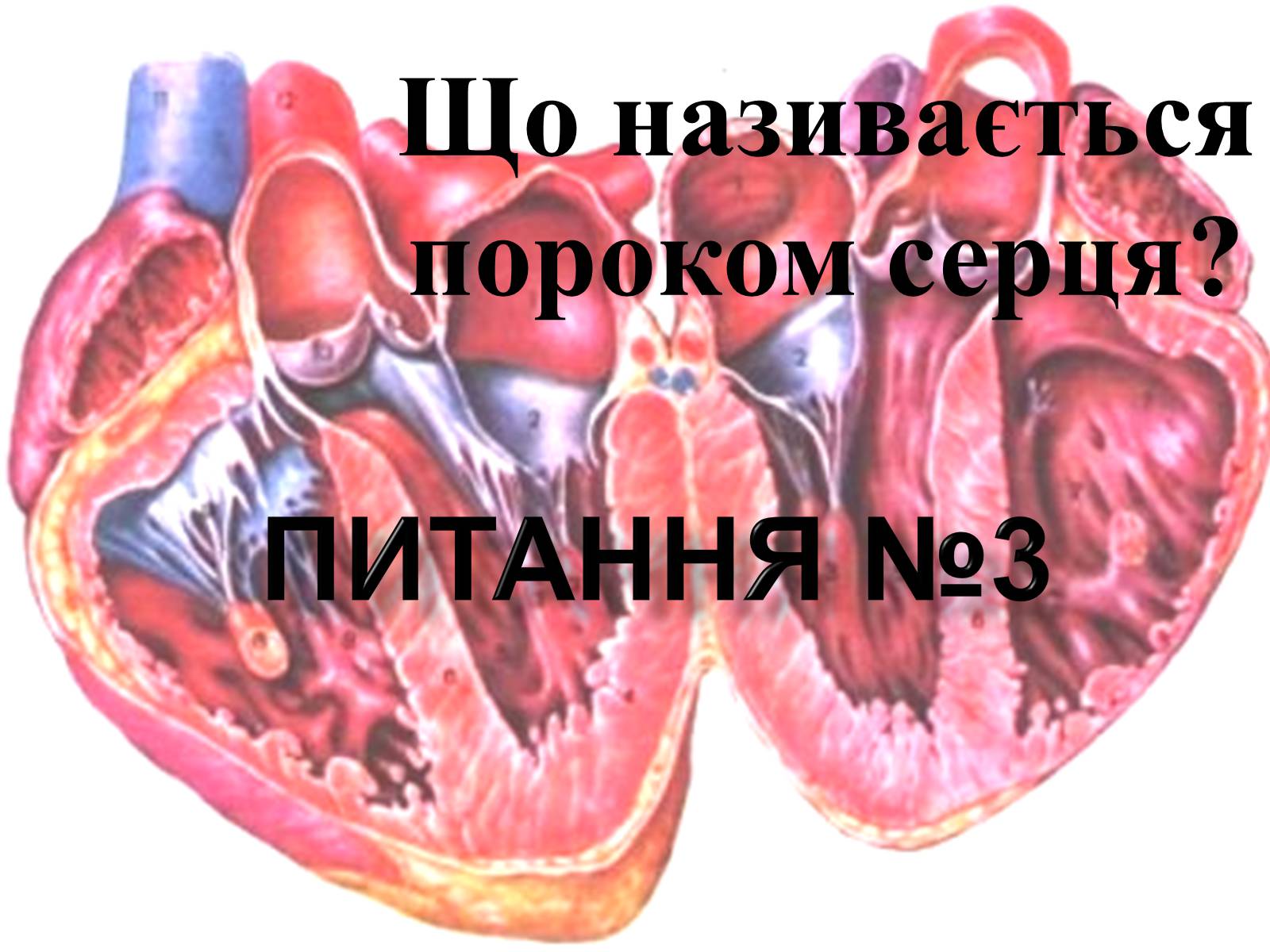 Презентація на тему «Гігієнічність» - Слайд #8 Презентація на тему «Гігієнічність» - Слайд #8