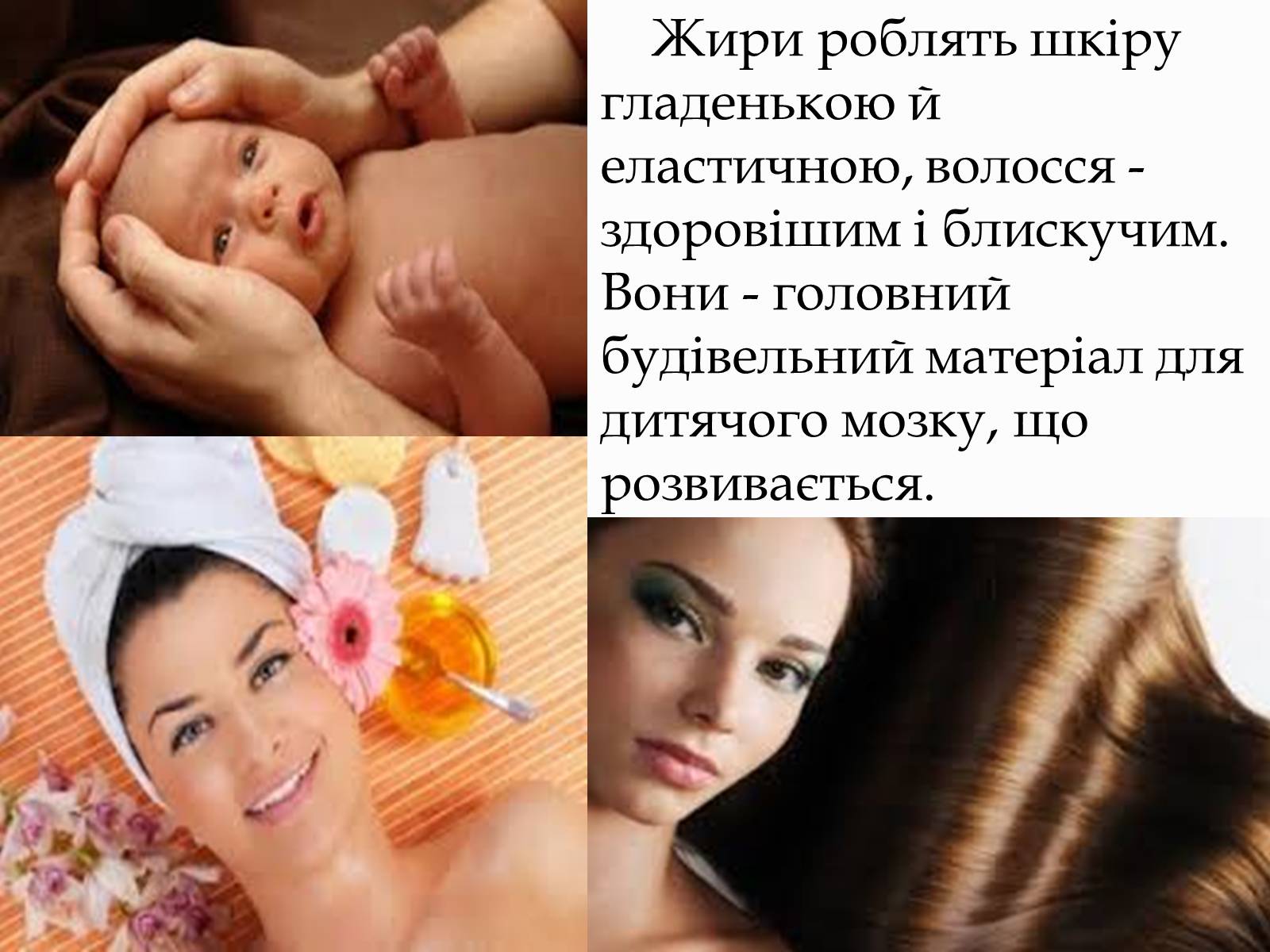 Презентація на тему «Перетворення в організмі жирів» - Слайд #14 Презентація на тему «Перетворення в організмі жирів» - Слайд #14