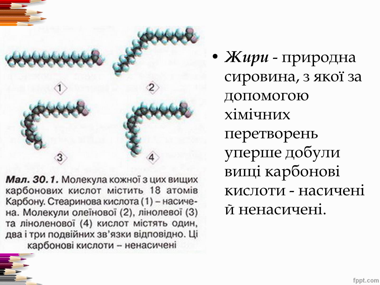 Презентація на тему «Перетворення в організмі жирів» - Слайд #2 Презентація на тему «Перетворення в організмі жирів» - Слайд #2