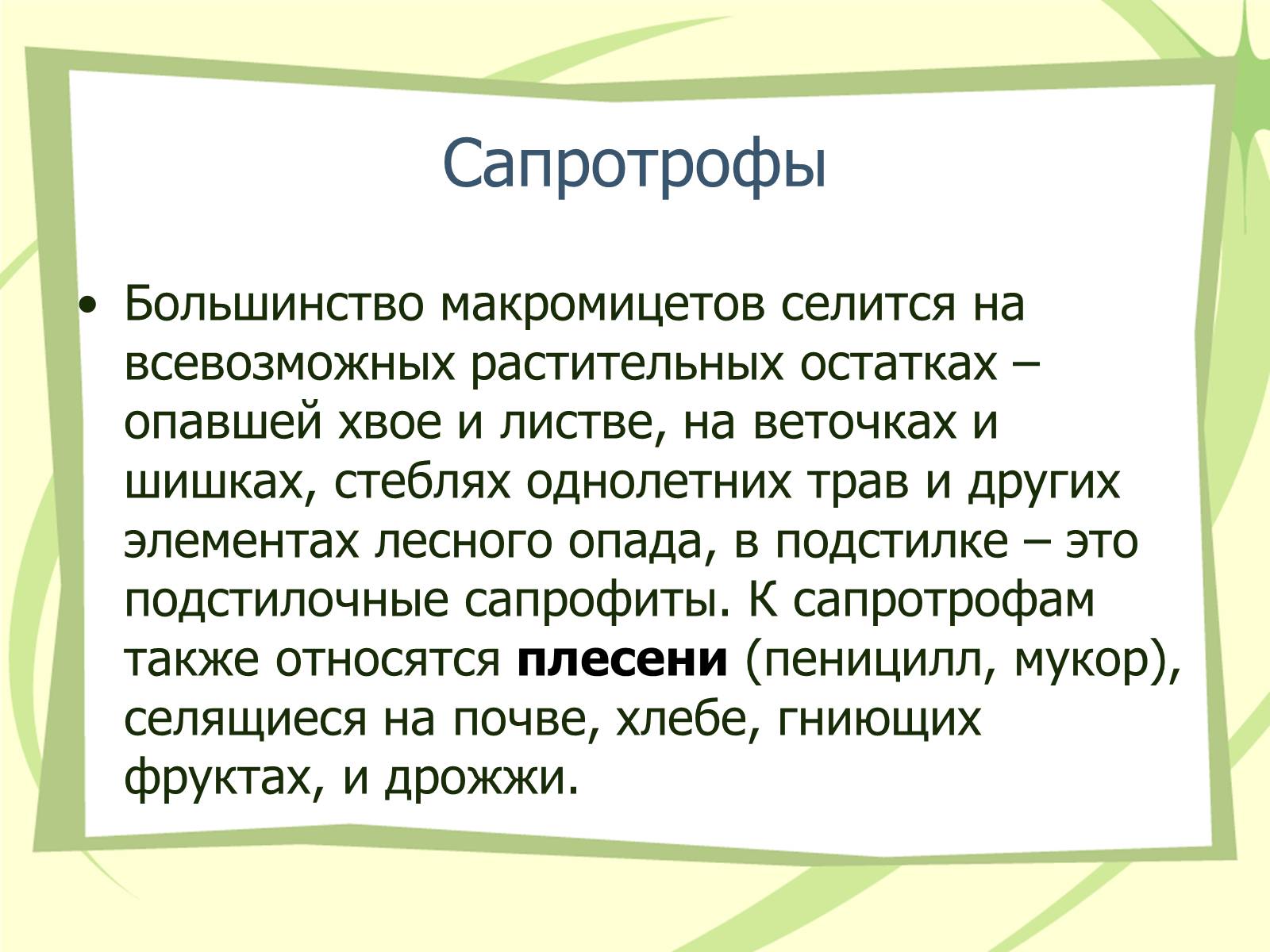 Презентація на тему «Грибы» - Слайд #7 Презентація на тему «Грибы» - Слайд #7
