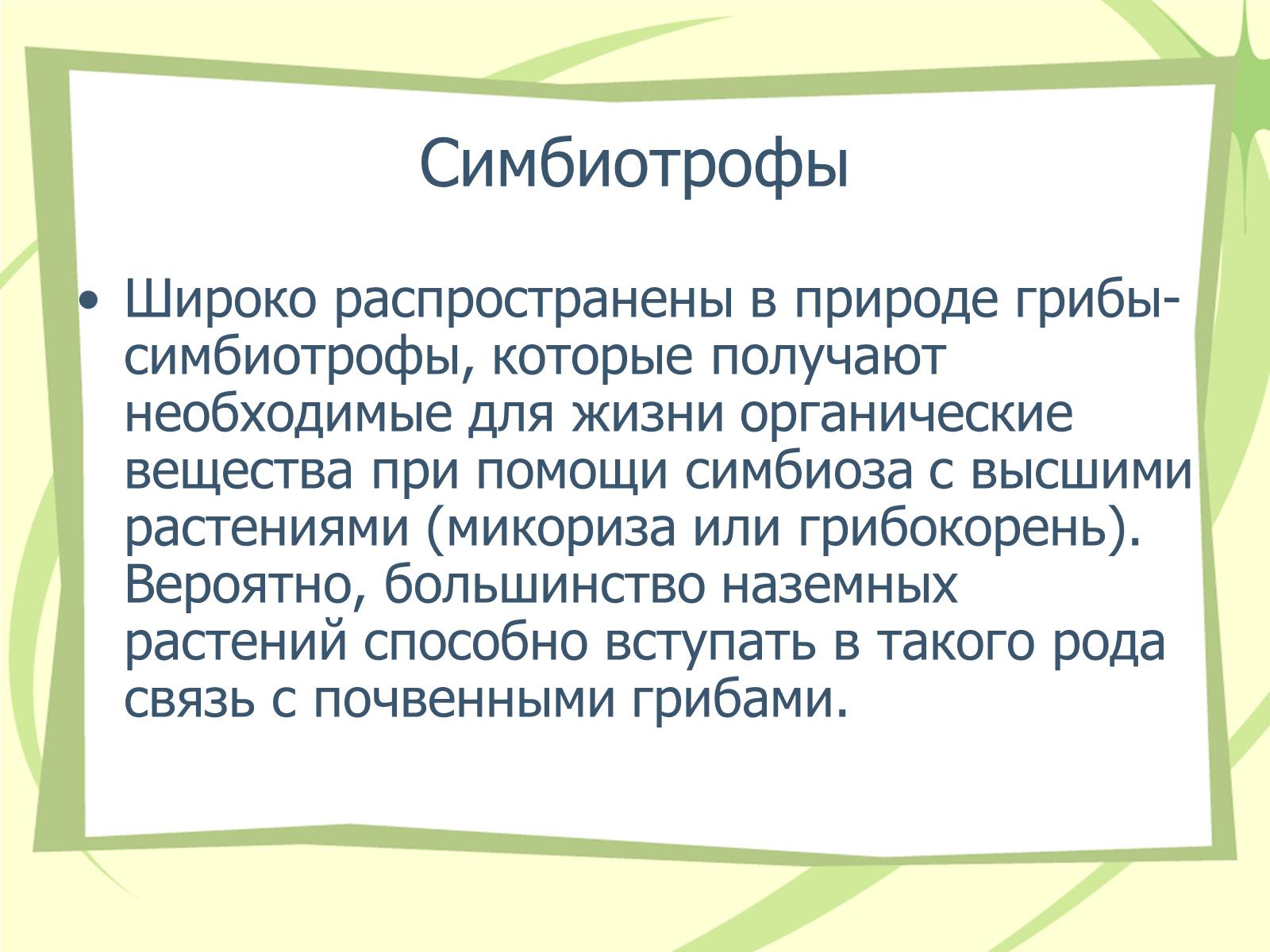 Презентація на тему «Грибы» - Слайд #9 Презентація на тему «Грибы» - Слайд #9