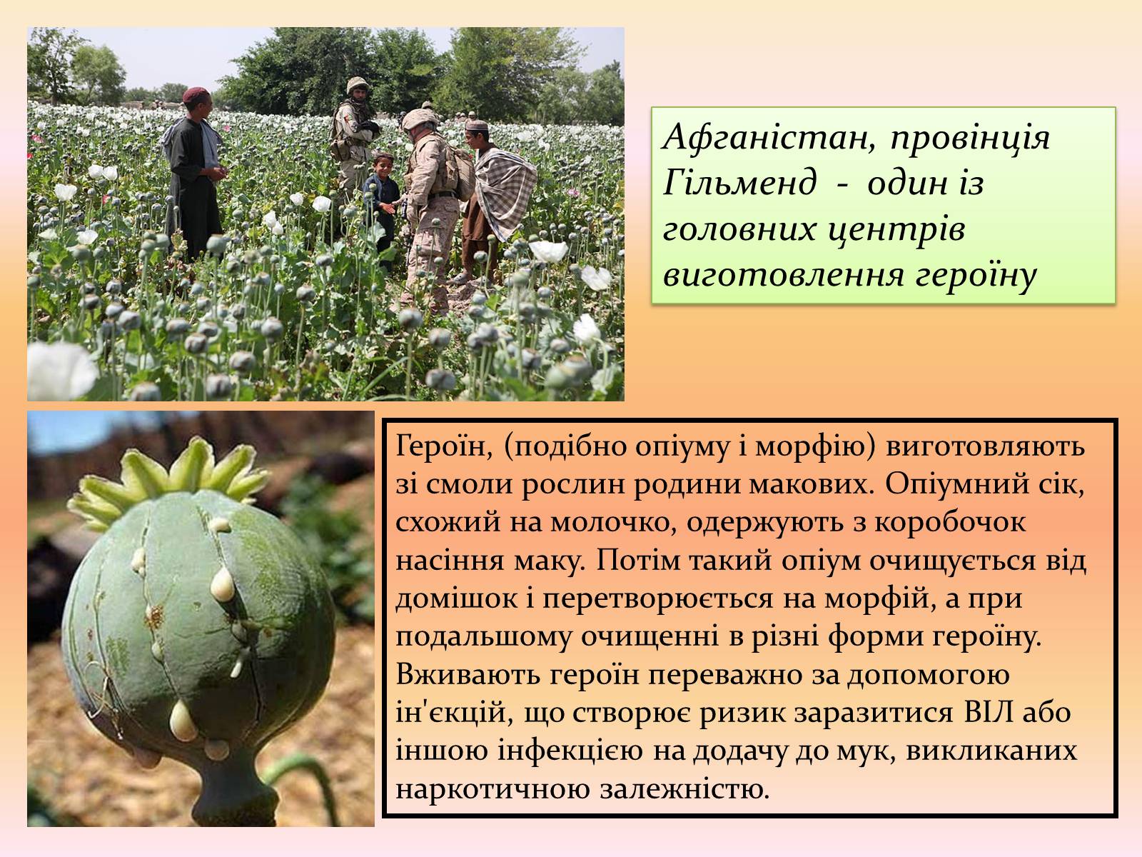 Презентація на тему «Героїн» - Слайд #4 Презентація на тему «Героїн» - Слайд #4