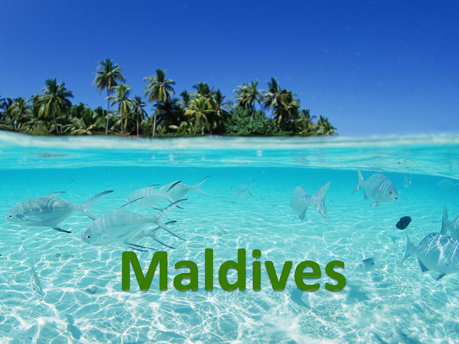 Презентація на тему «Maldives» (варіант 1) - Слайд #1 Презентація на тему «Maldives» (варіант 1) - Слайд #1