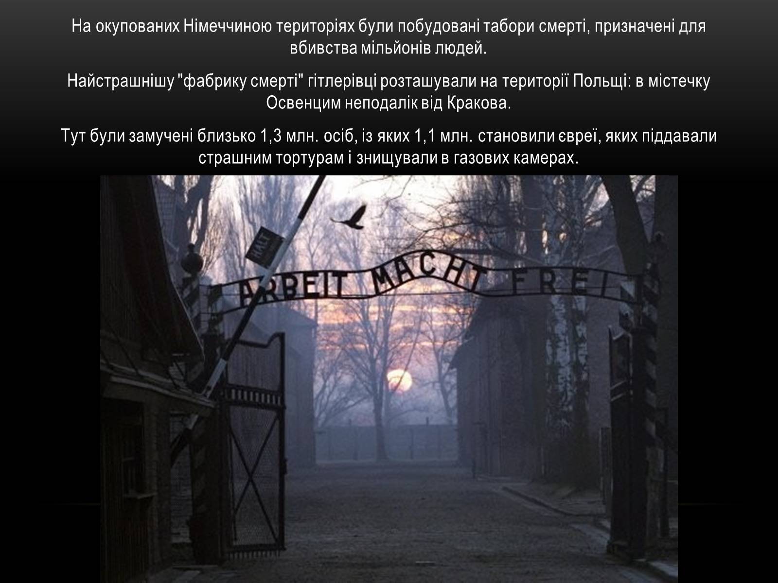 Презентація на тему «Голокост» (варіант 1) - Слайд #3 Презентація на тему «Голокост» (варіант 1) - Слайд #3
