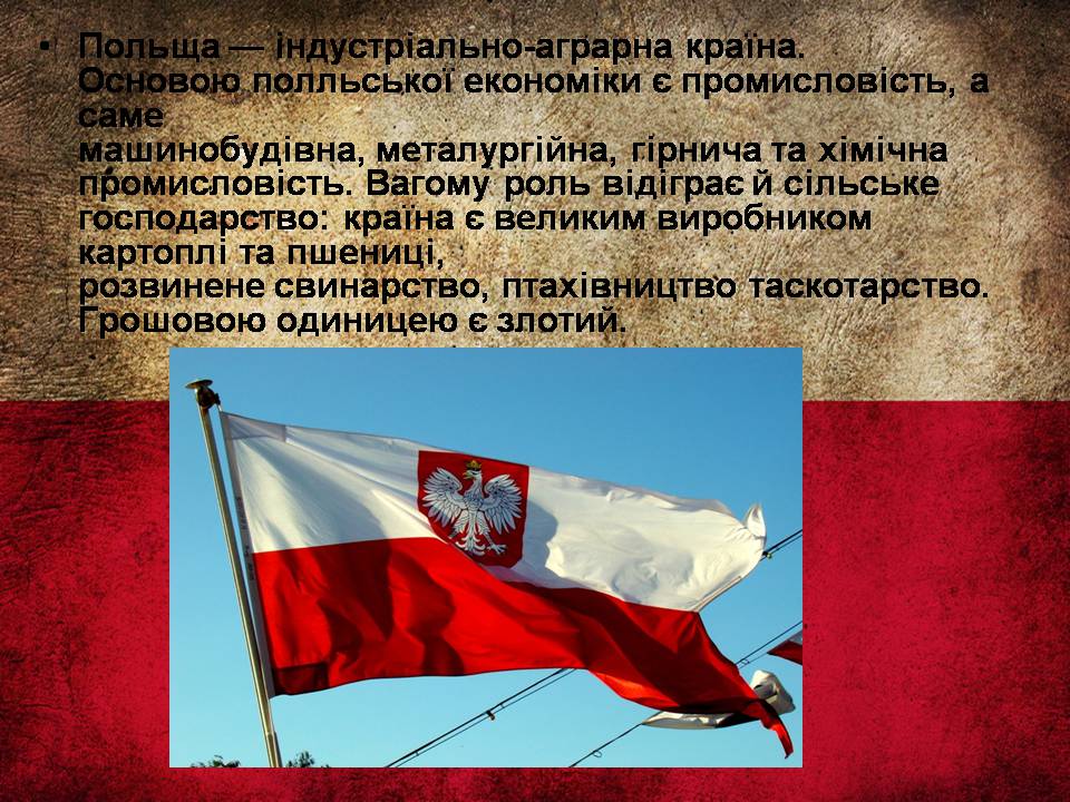 Презентація на тему «Республіка Польща після Другої світової війни до наших днів» - Слайд #25 Презентація на тему «Республіка Польща після Другої світової війни до наших днів» - Слайд #25