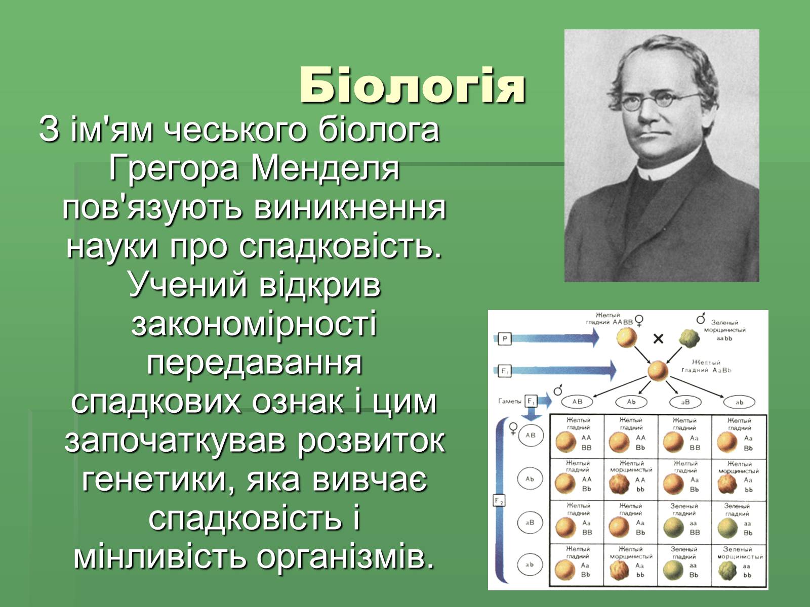 Презентація на тему «Розвиток науки і техніки у XVIII – XIX столітті» - Слайд #4 Презентація на тему «Розвиток науки і техніки у XVIII – XIX столітті» - Слайд #4