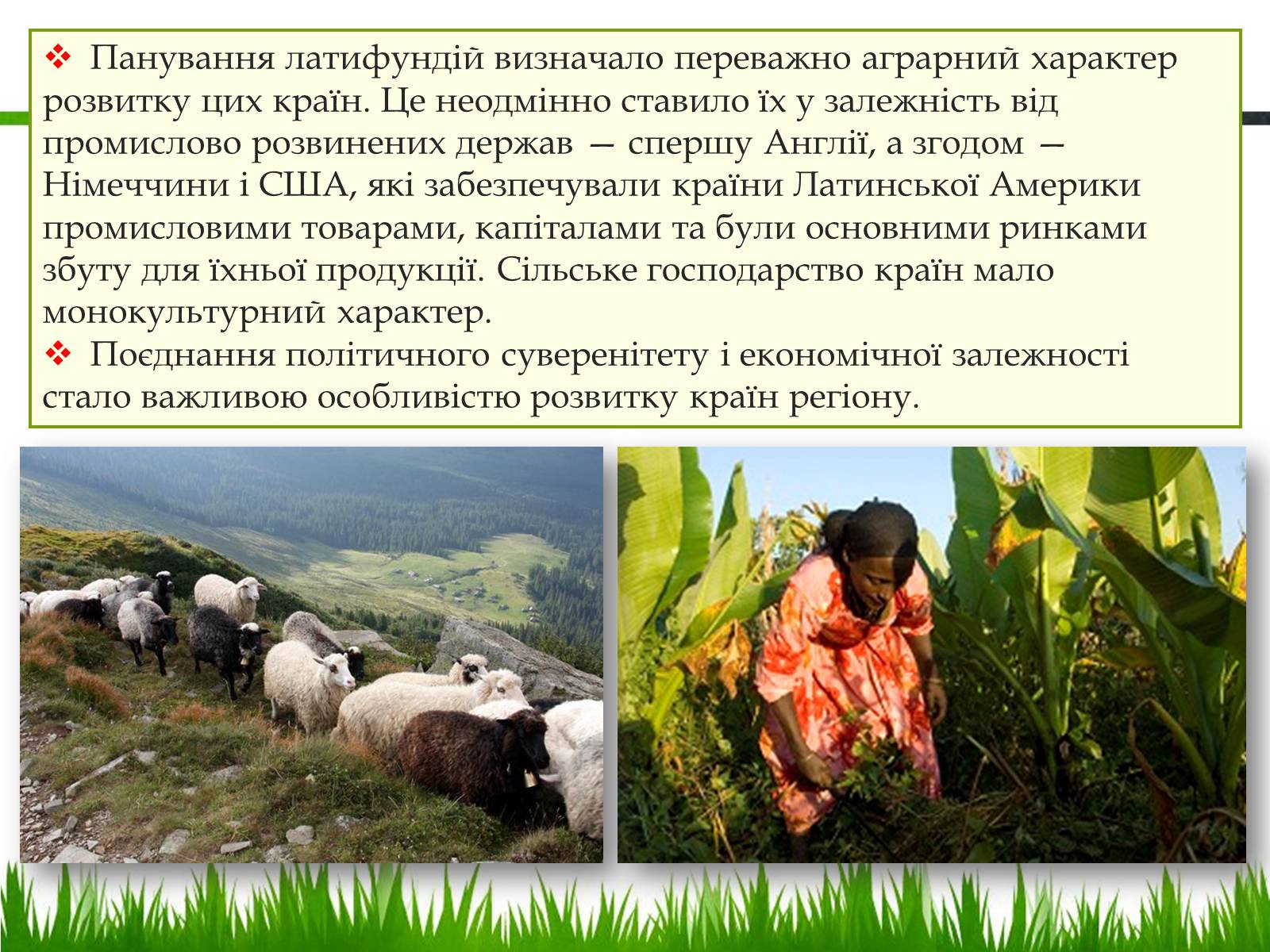 Презентація на тему «Латинська Америка у 20-30 роки ХХ ст» - Слайд #4 Презентація на тему «Латинська Америка у 20-30 роки ХХ ст» - Слайд #4