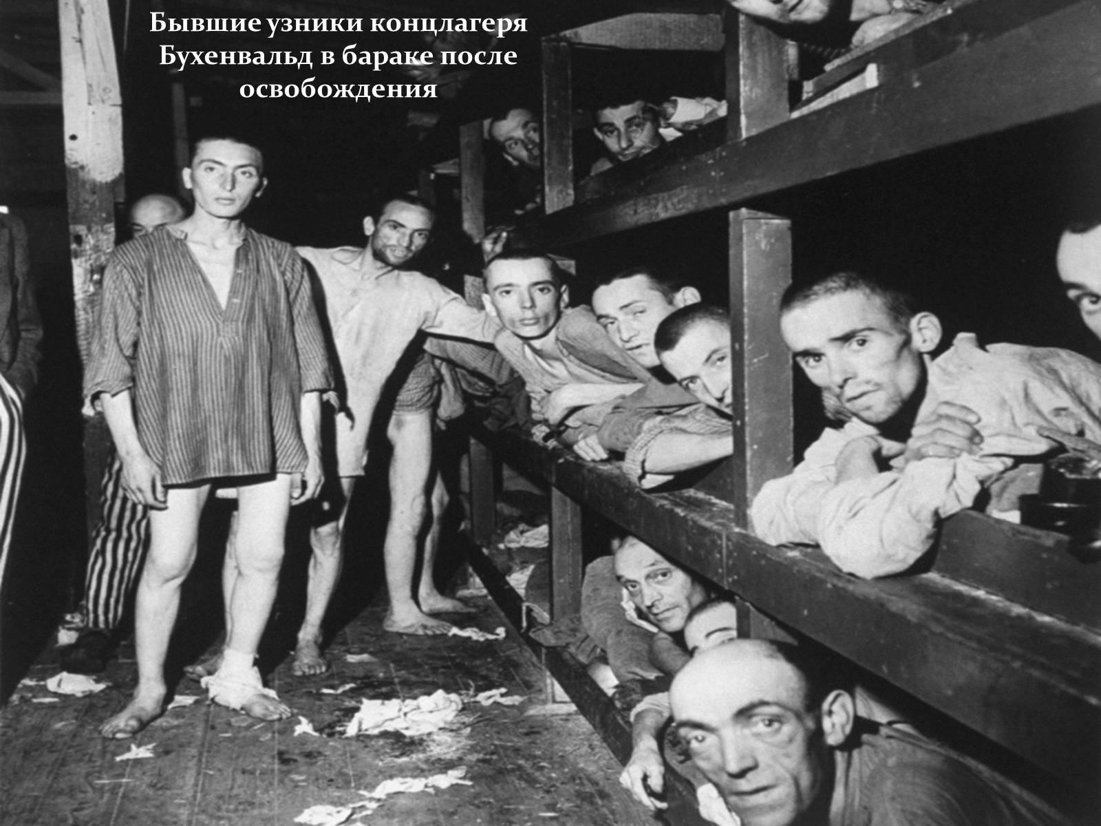 Презентація на тему «Вторая мировая глазами фотографов» - Слайд #7 Презентація на тему «Вторая мировая глазами фотографов» - Слайд #7