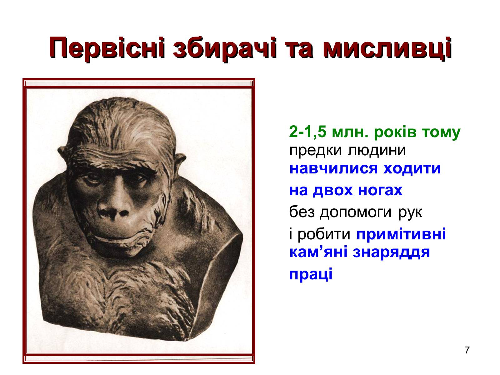 Презентація на тему «Первісні збирачі та мисливці» - Слайд #7 Презентація на тему «Первісні збирачі та мисливці» - Слайд #7