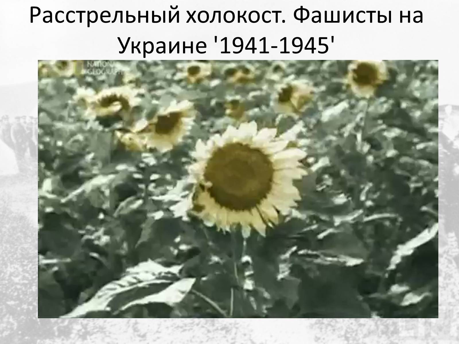 Презентація на тему «Вторая мировая война» (варіант 1) - Слайд #23 Презентація на тему «Вторая мировая война» (варіант 1) - Слайд #23