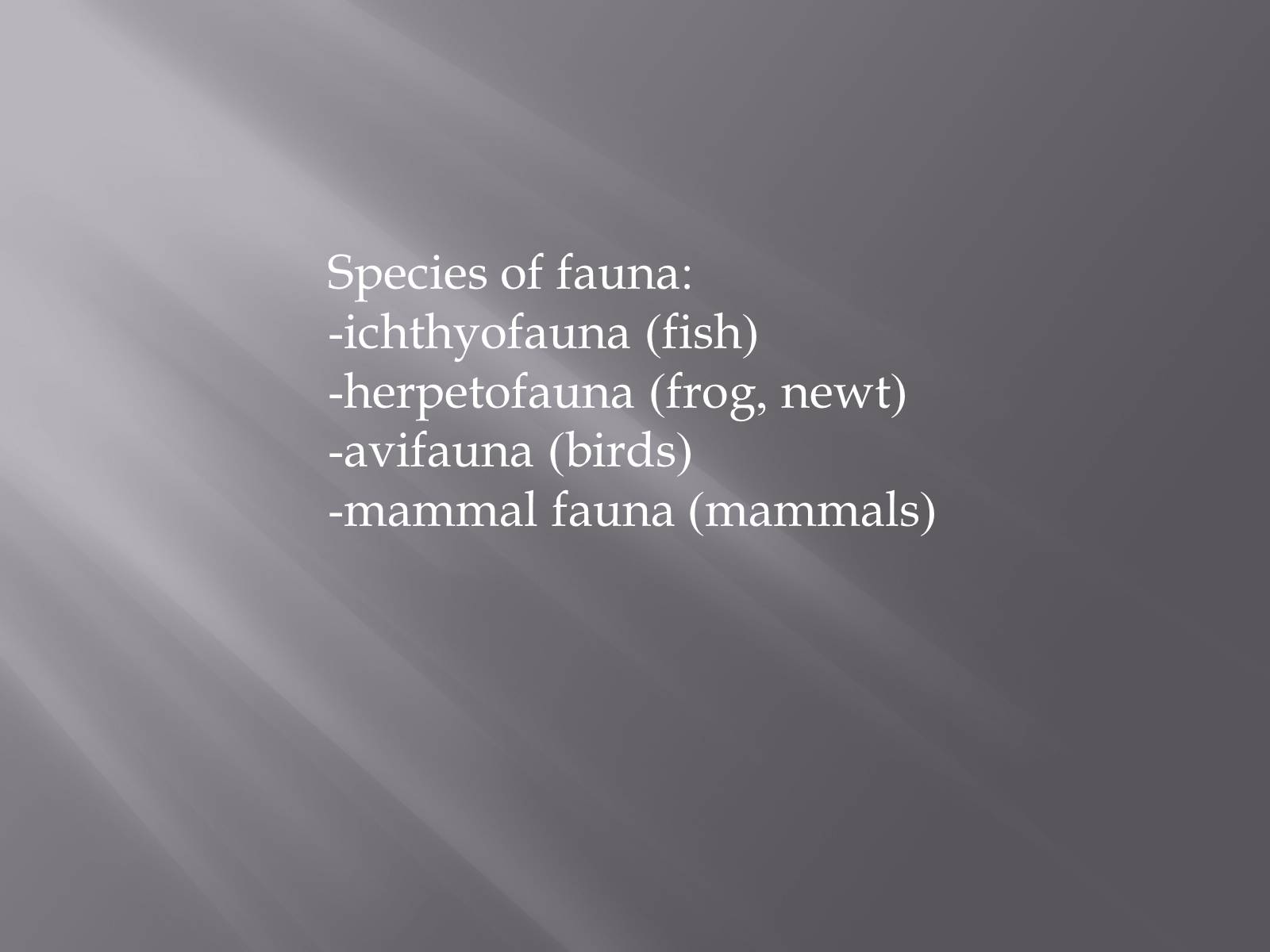 Презентація на тему «Endangered species in Ukraine» - Слайд #3