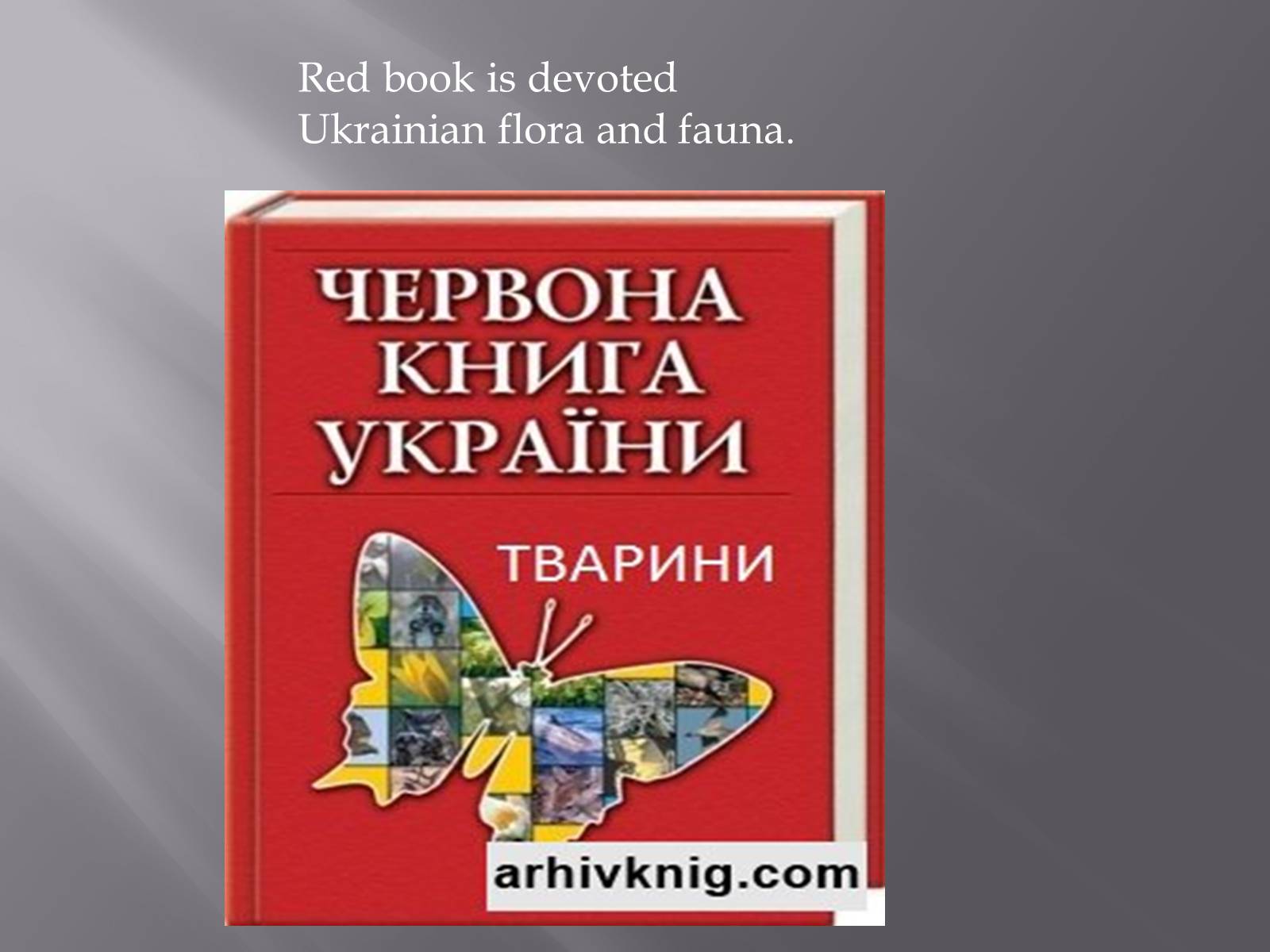 Презентація на тему «Endangered species in Ukraine» - Слайд #4