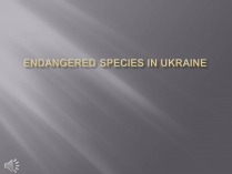 Презентація на тему «Endangered species in Ukraine»