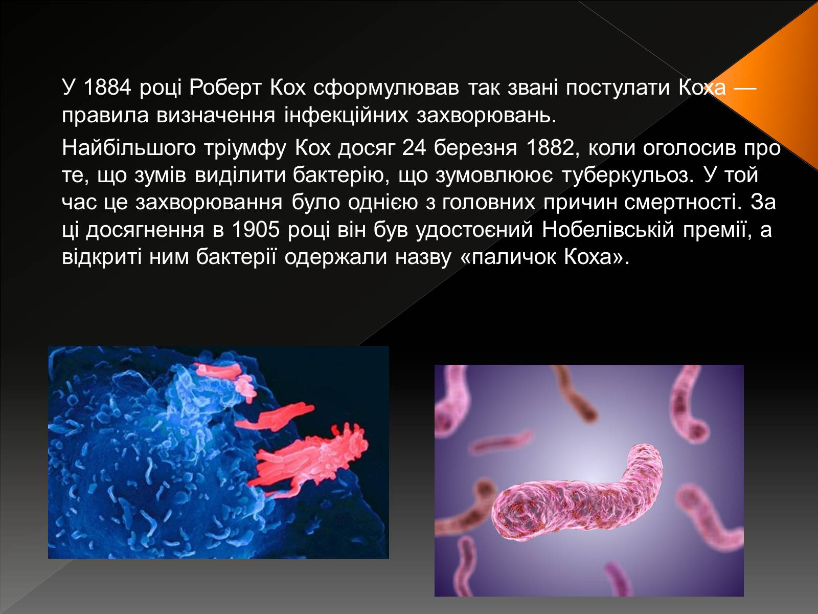 Презентація на тему «Наука і техніка у світі наприкінці ХVIII – у XIX ст» - Слайд #13 Презентація на тему «Наука і техніка у світі наприкінці ХVIII – у XIX ст» - Слайд #13
