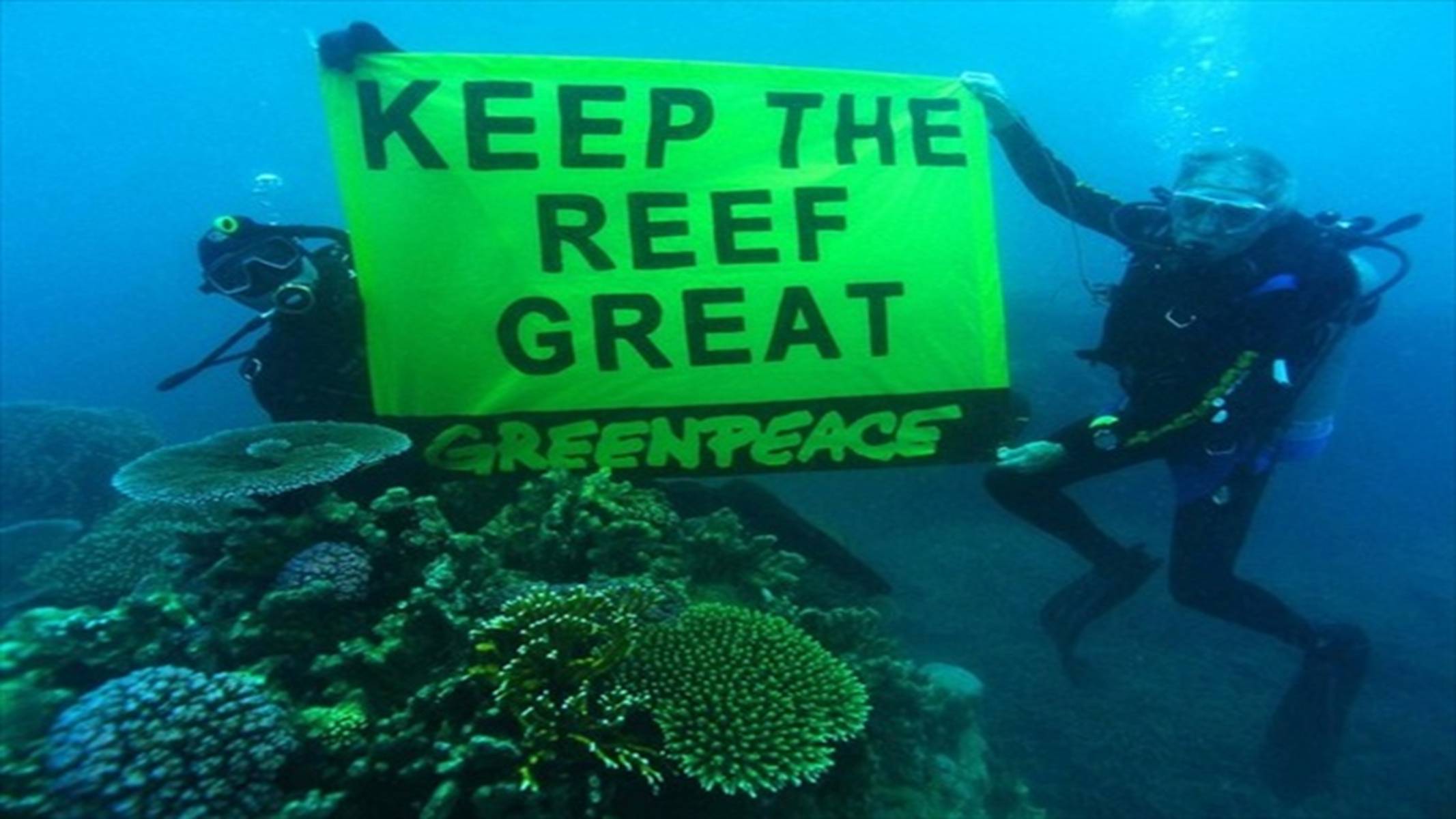 Презентація на тему «Greenpeace» (варіант 2) - Слайд #10 Презентація на тему «Greenpeace» (варіант 2) - Слайд #10