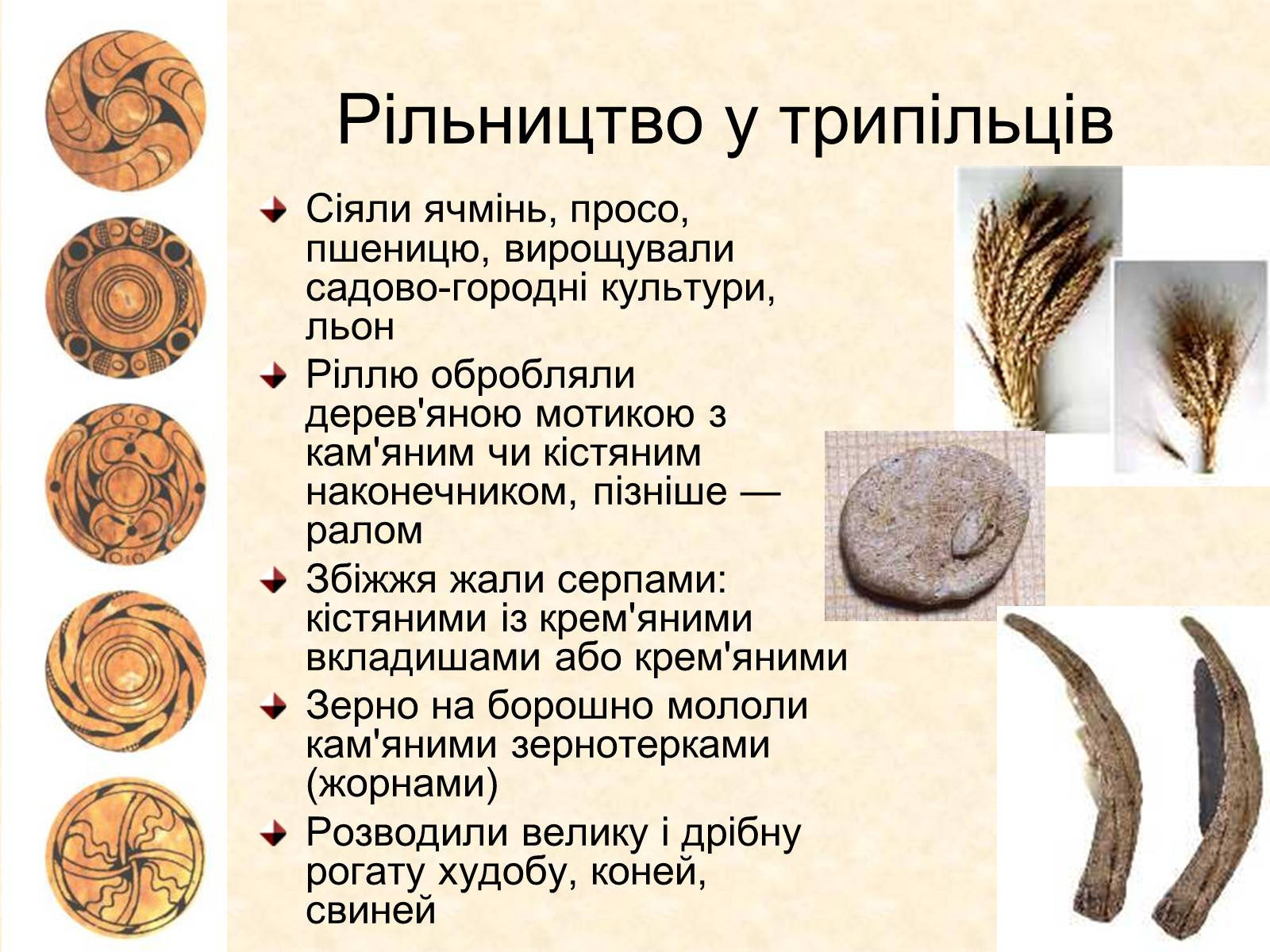 Презентація на тему «Трипільська археологічна культура» - Слайд #19 Презентація на тему «Трипільська археологічна культура» - Слайд #19