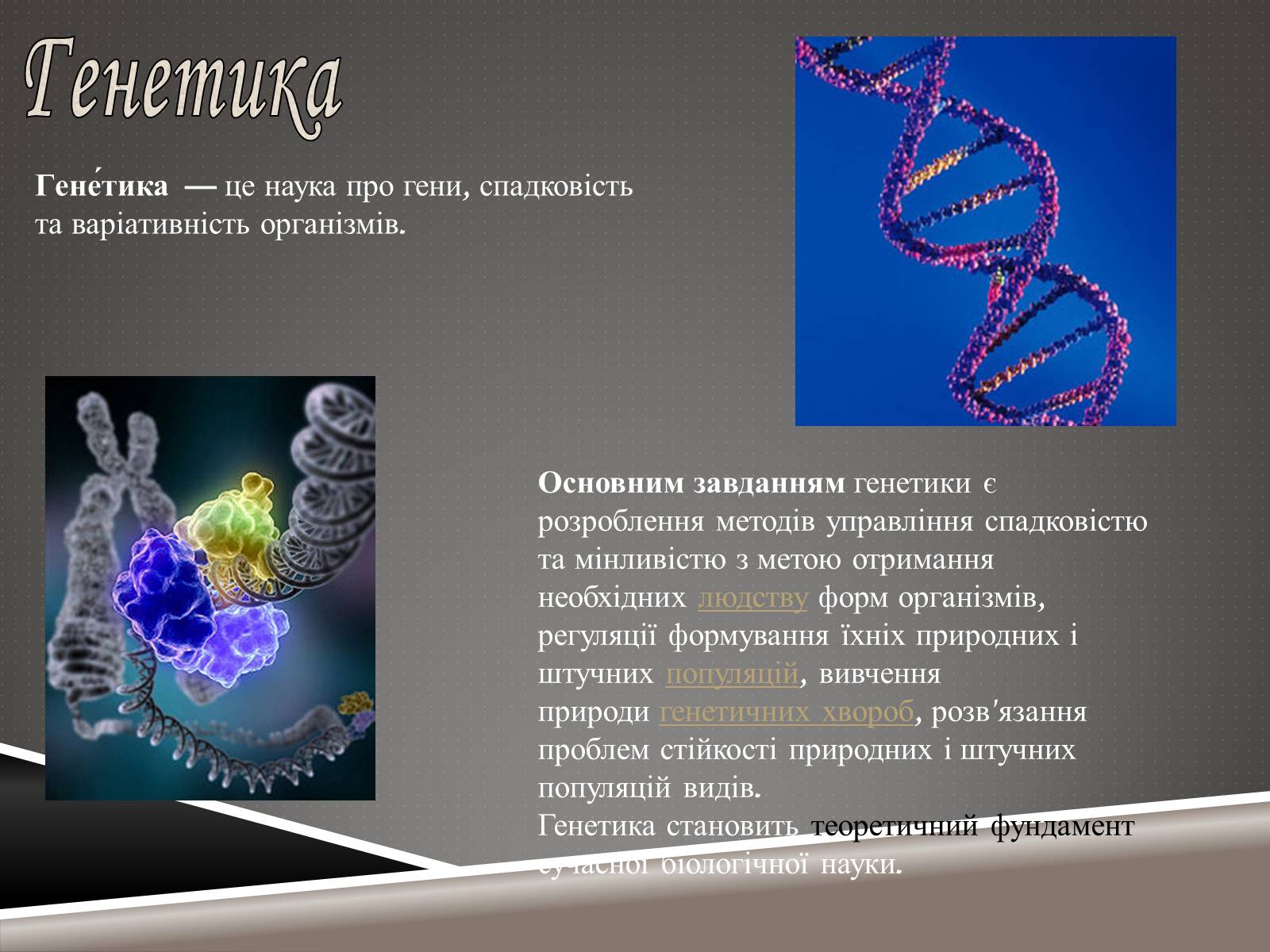 Презентація на тему «Наукові відкриття ХIX ст» - Слайд #18 Презентація на тему «Наукові відкриття ХIX ст» - Слайд #18