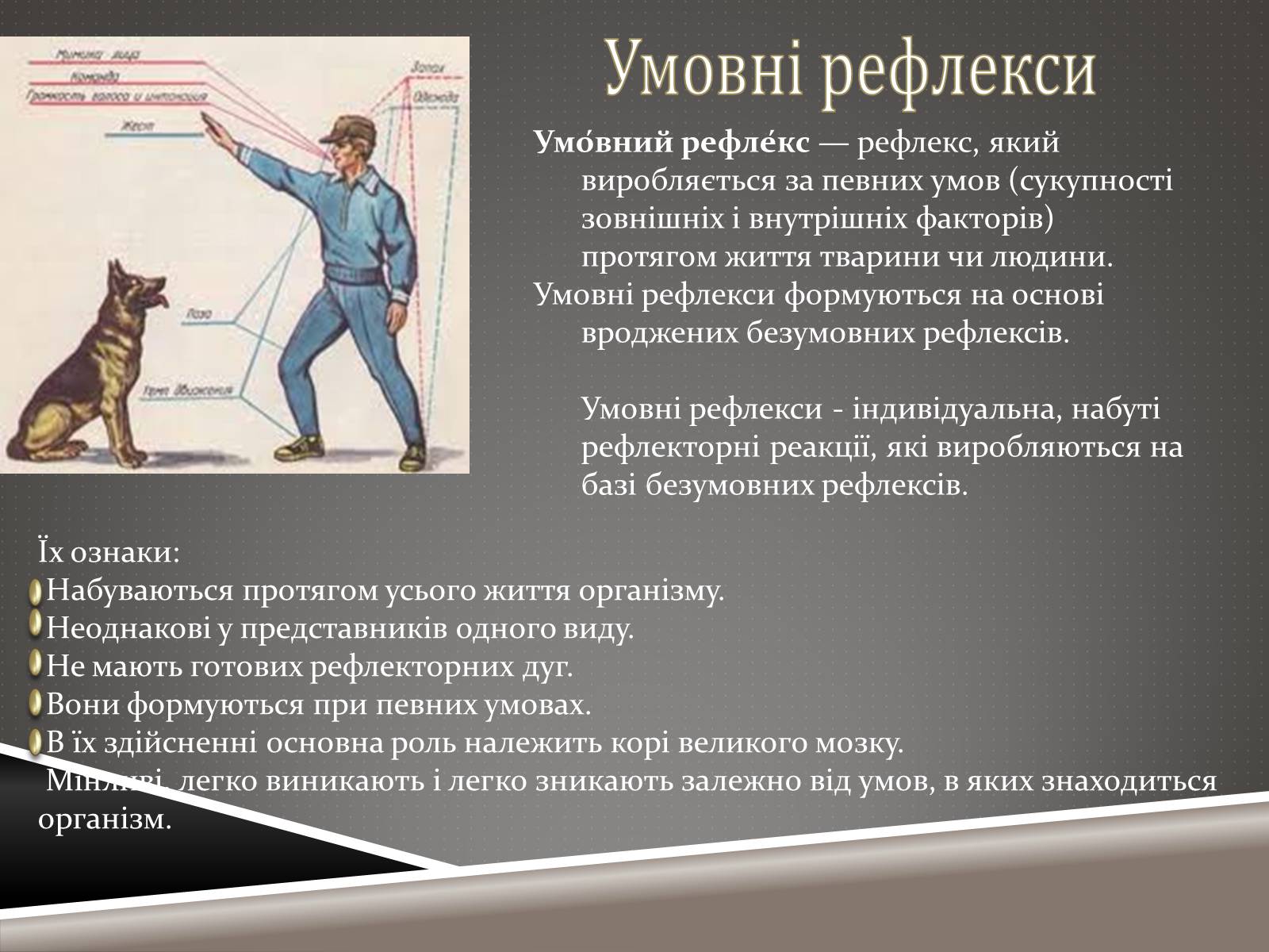 Презентація на тему «Наукові відкриття ХIX ст» - Слайд #20 Презентація на тему «Наукові відкриття ХIX ст» - Слайд #20