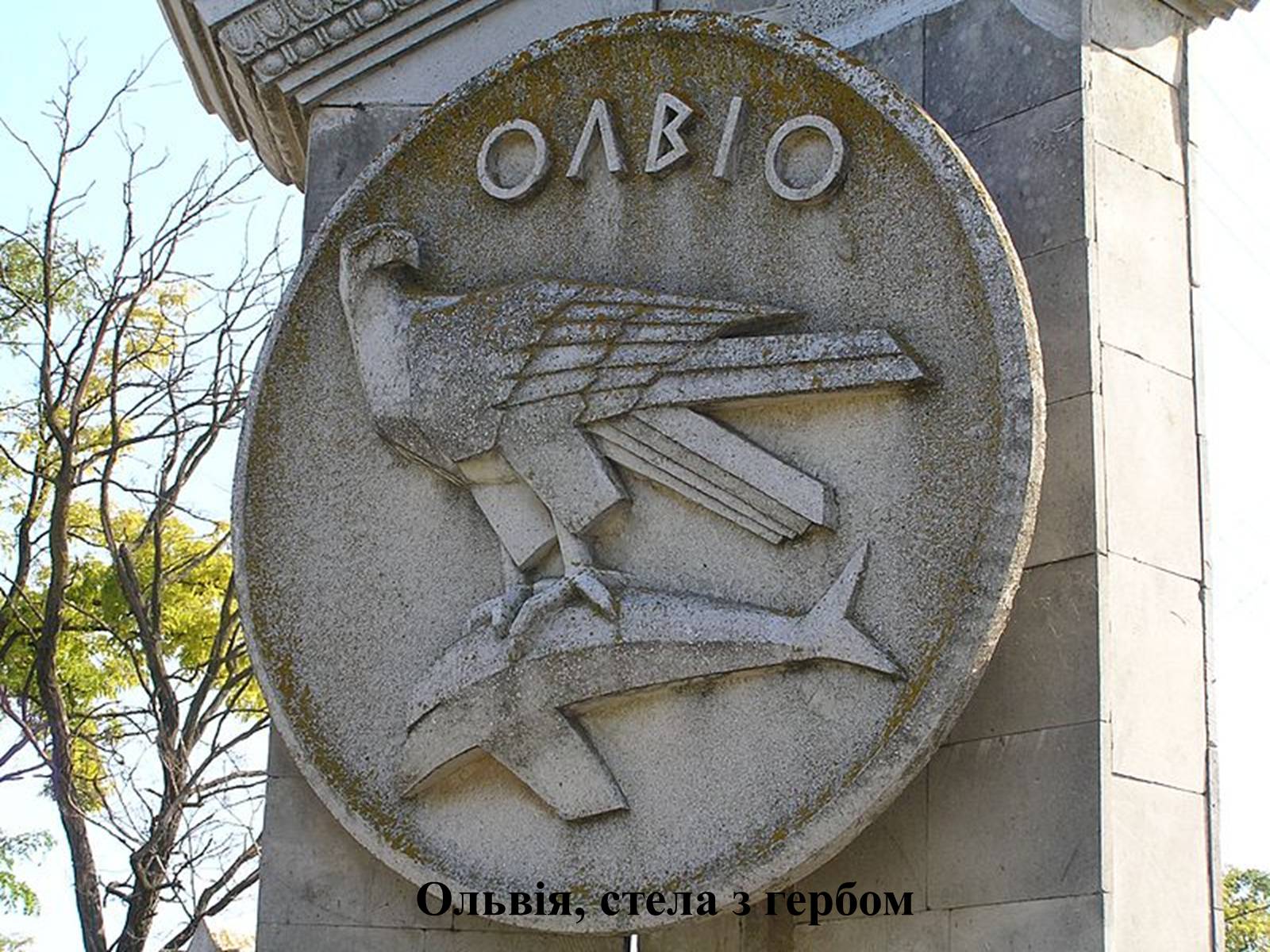 Презентація на тему «Олівія» - Слайд #9 Презентація на тему «Олівія» - Слайд #9