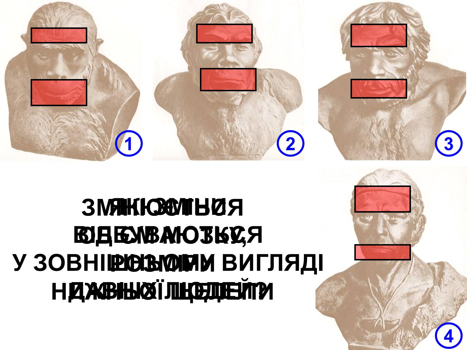 Презентація на тему «Господарство кам’яного віку» - Слайд #13 Презентація на тему «Господарство кам’яного віку» - Слайд #13