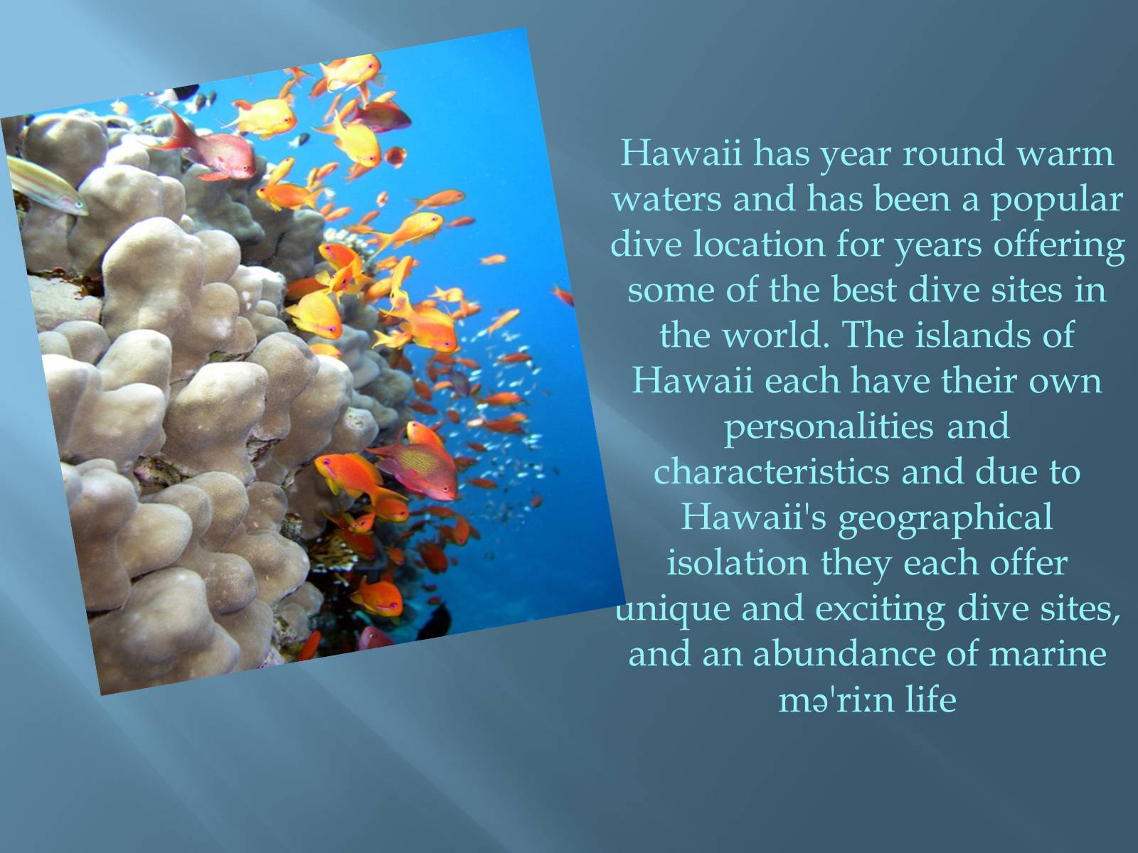 Презентація на тему «The Hawaiian Islands» - Слайд #16 Презентація на тему «The Hawaiian Islands» - Слайд #16