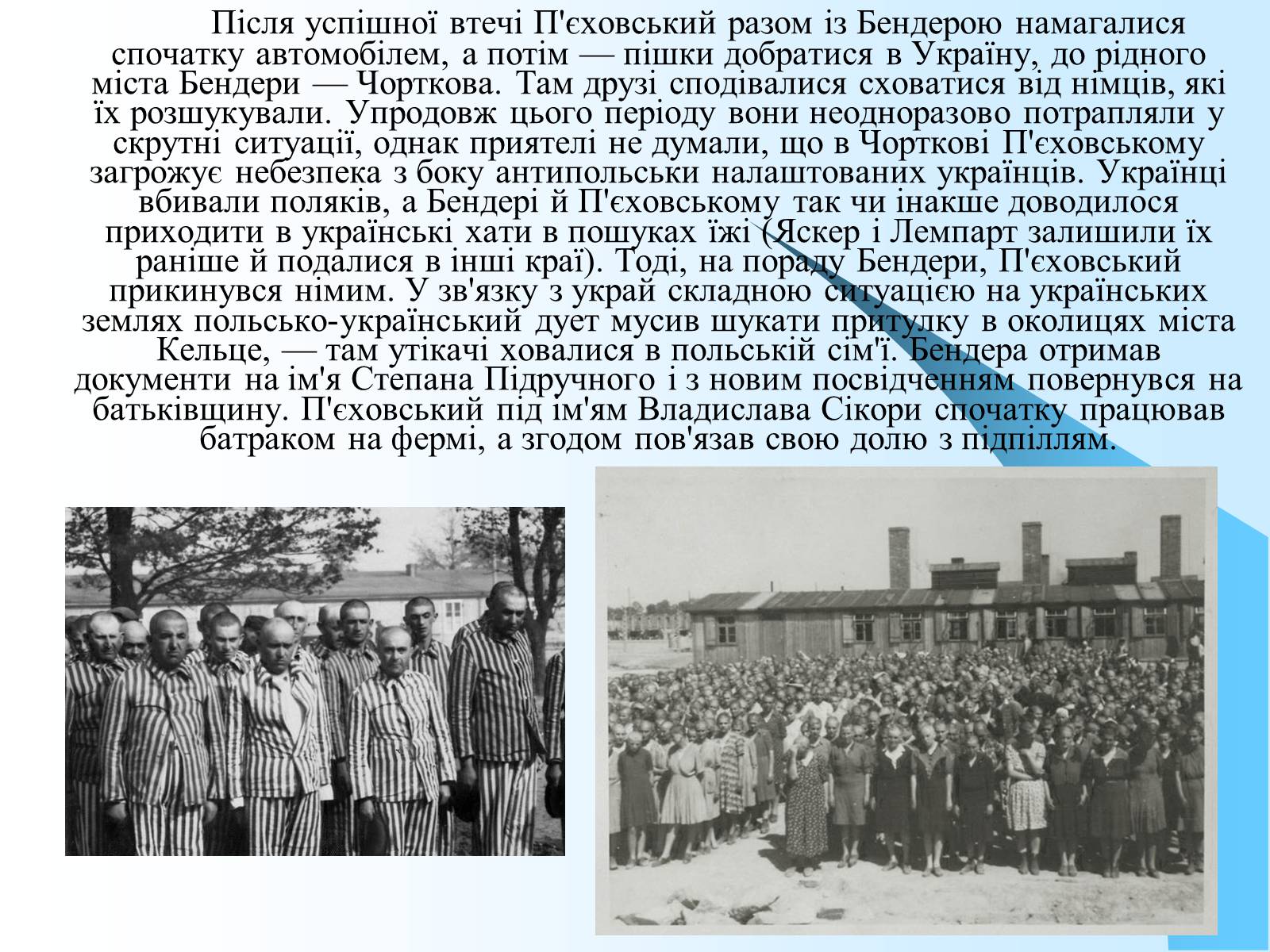 Презентація на тему «Нацистський концтабір Аушвіц» - Слайд #11 Презентація на тему «Нацистський концтабір Аушвіц» - Слайд #11