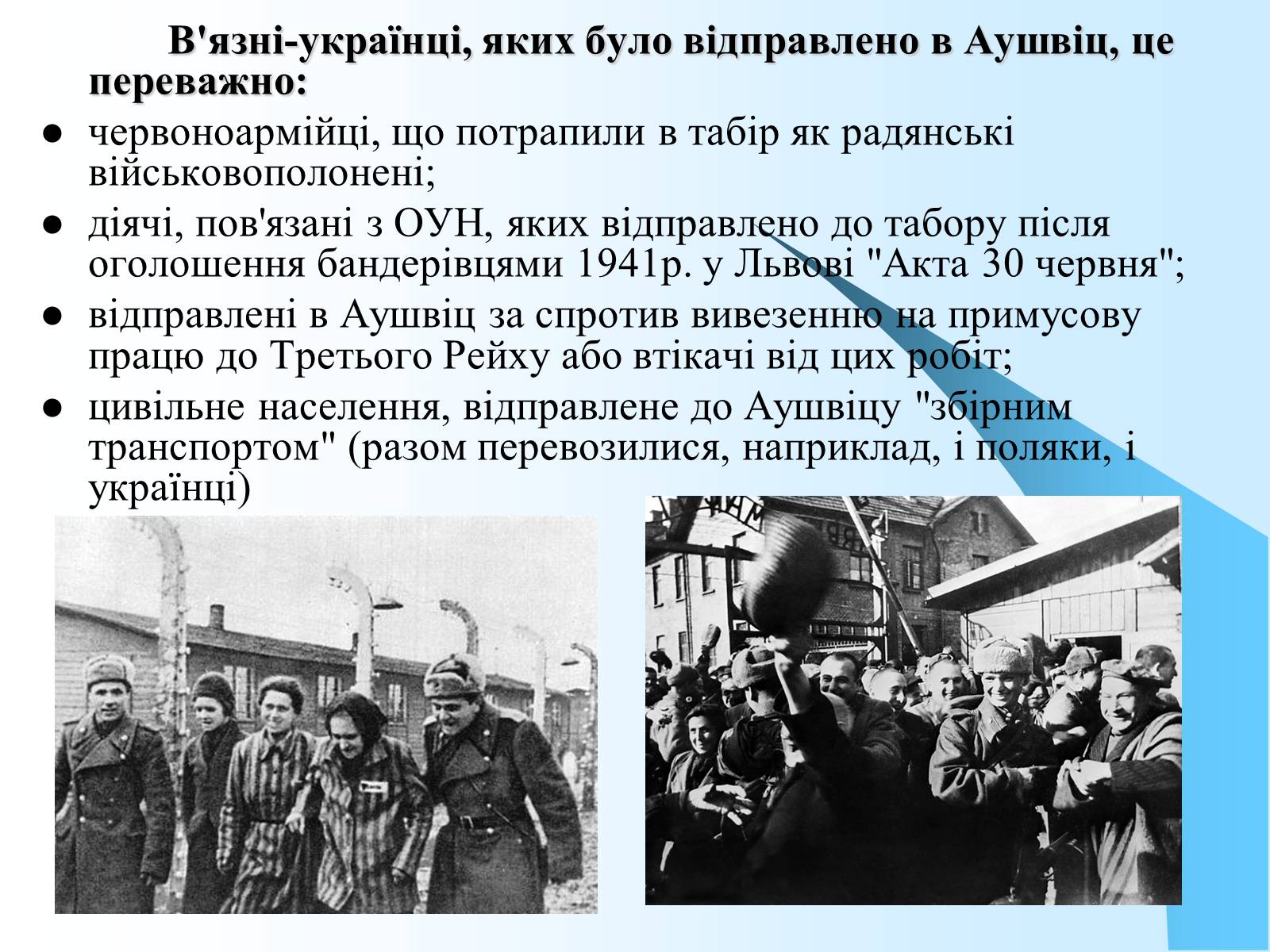Презентація на тему «Нацистський концтабір Аушвіц» - Слайд #6 Презентація на тему «Нацистський концтабір Аушвіц» - Слайд #6