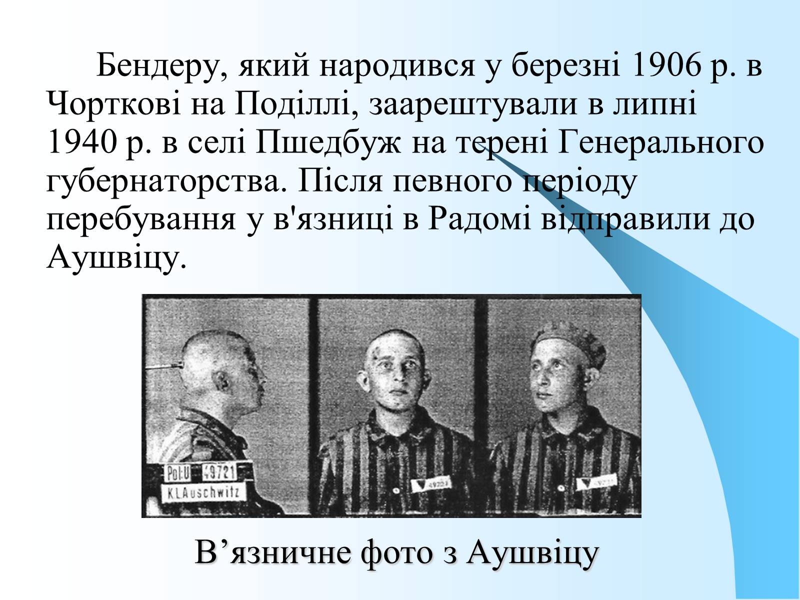 Презентація на тему «Нацистський концтабір Аушвіц» - Слайд #8 Презентація на тему «Нацистський концтабір Аушвіц» - Слайд #8