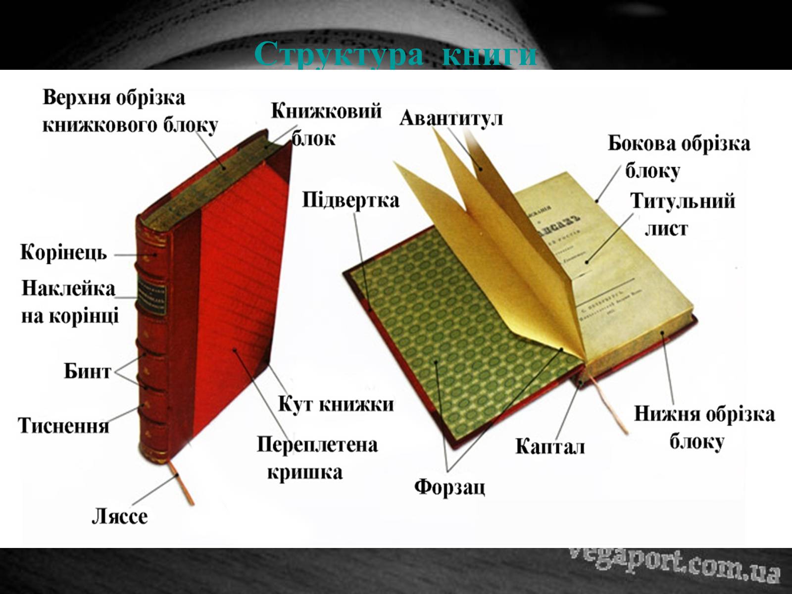 Презентація на тему «Як зазнали змін структура та апарат книги протягом XIX-XXI століть?» - Слайд #4 Презентація на тему «Як зазнали змін структура та апарат книги протягом XIX-XXI століть?» - Слайд #4
