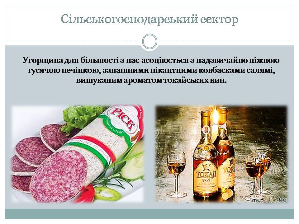 Презентація на тему «Угорщина 1945-2015» - Слайд #17 Презентація на тему «Угорщина 1945-2015» - Слайд #17