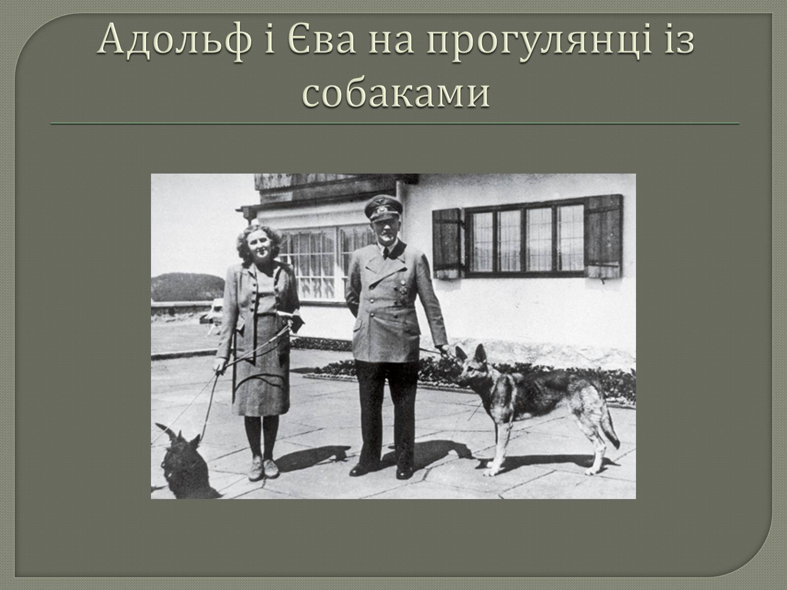 Презентація на тему «Адольф Гітлер» (варіант 12) - Слайд #18 Презентація на тему «Адольф Гітлер» (варіант 12) - Слайд #18