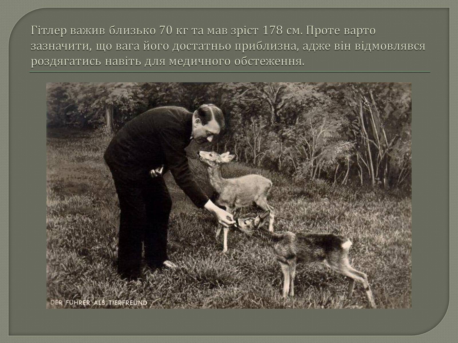 Презентація на тему «Адольф Гітлер» (варіант 12) - Слайд #24 Презентація на тему «Адольф Гітлер» (варіант 12) - Слайд #24
