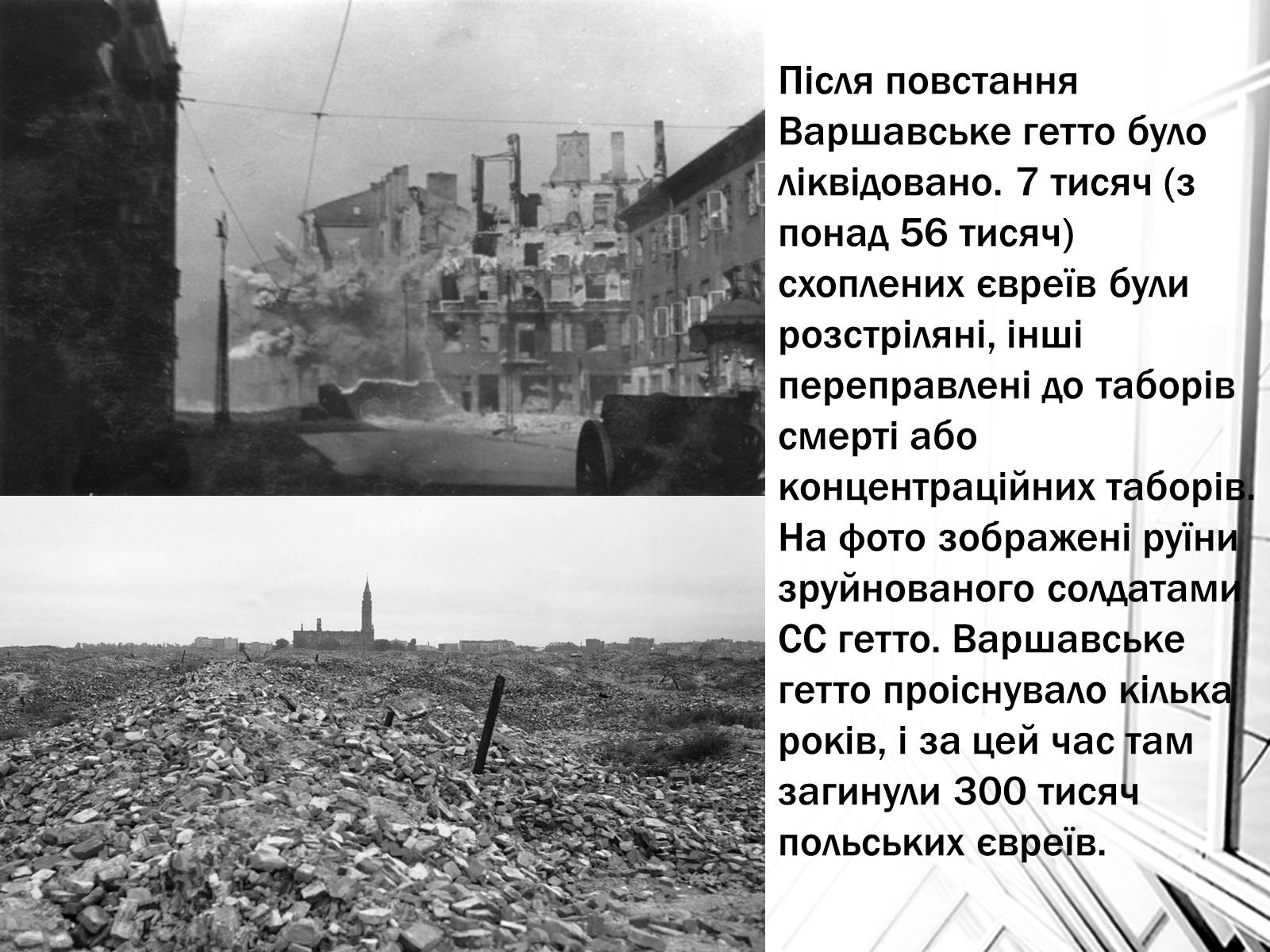 Презентація на тему «Опік Голокосту» - Слайд #8 Презентація на тему «Опік Голокосту» - Слайд #8