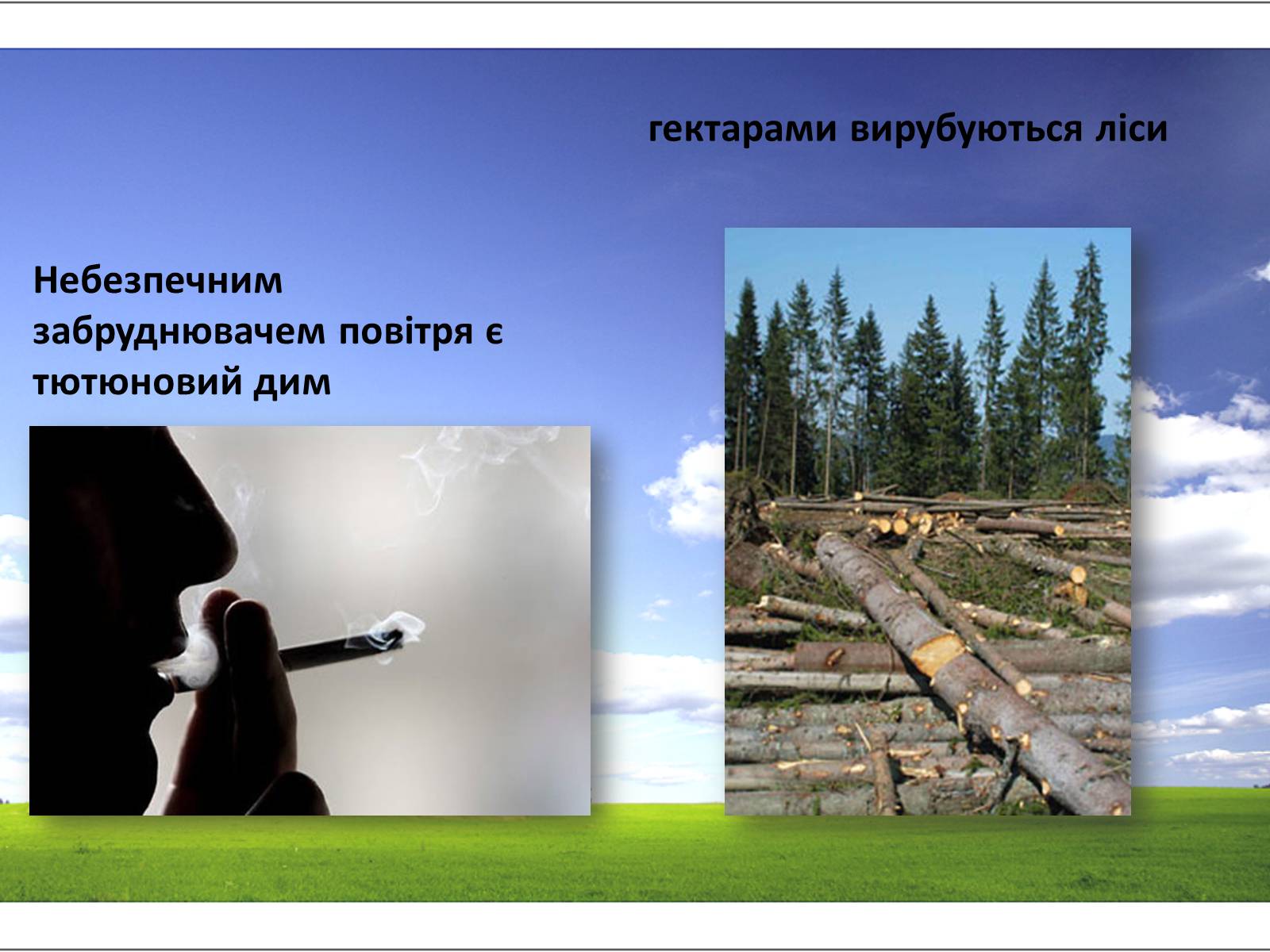 Презентація на тему «Забруднення навколишнього середовища» (варіант 2) - Слайд #4 Презентація на тему «Забруднення навколишнього середовища» (варіант 2) - Слайд #4