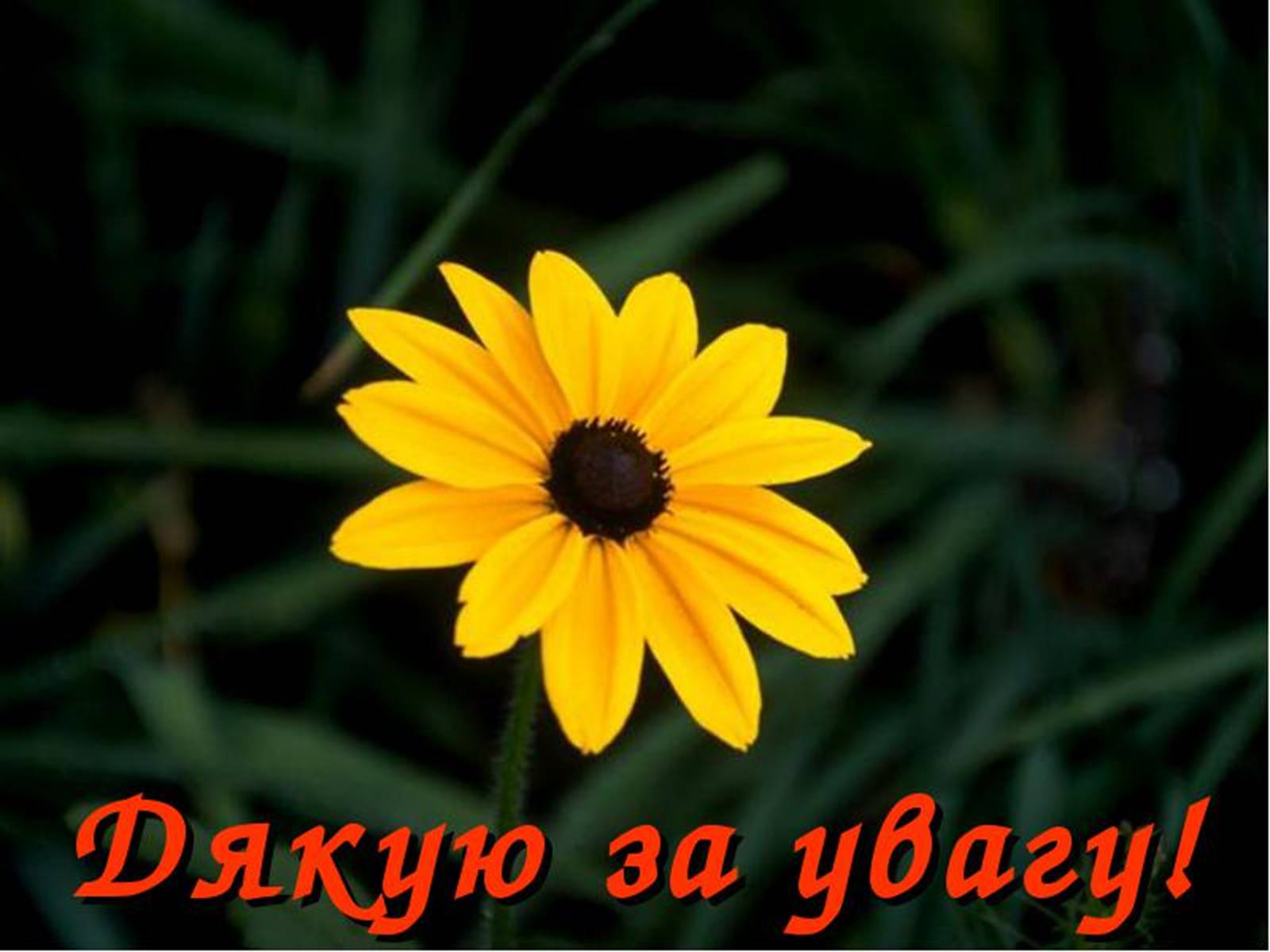 Презентація на тему «Ідеали та цінності в житті людини» - Слайд #13 Презентація на тему «Ідеали та цінності в житті людини» - Слайд #13