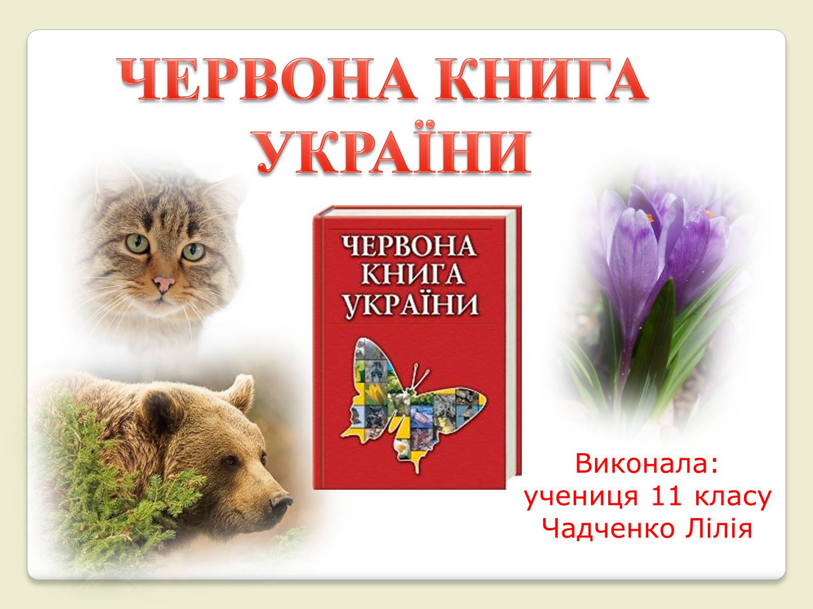 Презентація на тему «Червона Книга України» (варіант 6) - Слайд #1 Презентація на тему «Червона Книга України» (варіант 6) - Слайд #1