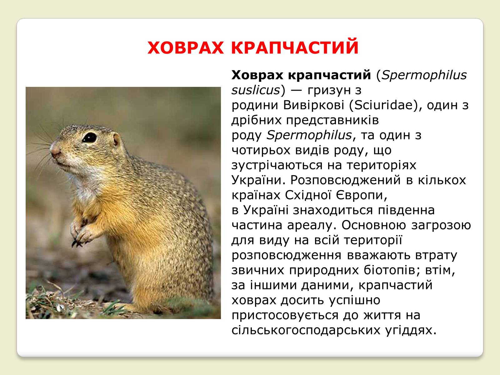 Презентація на тему «Червона Книга України» (варіант 6) - Слайд #11 Презентація на тему «Червона Книга України» (варіант 6) - Слайд #11