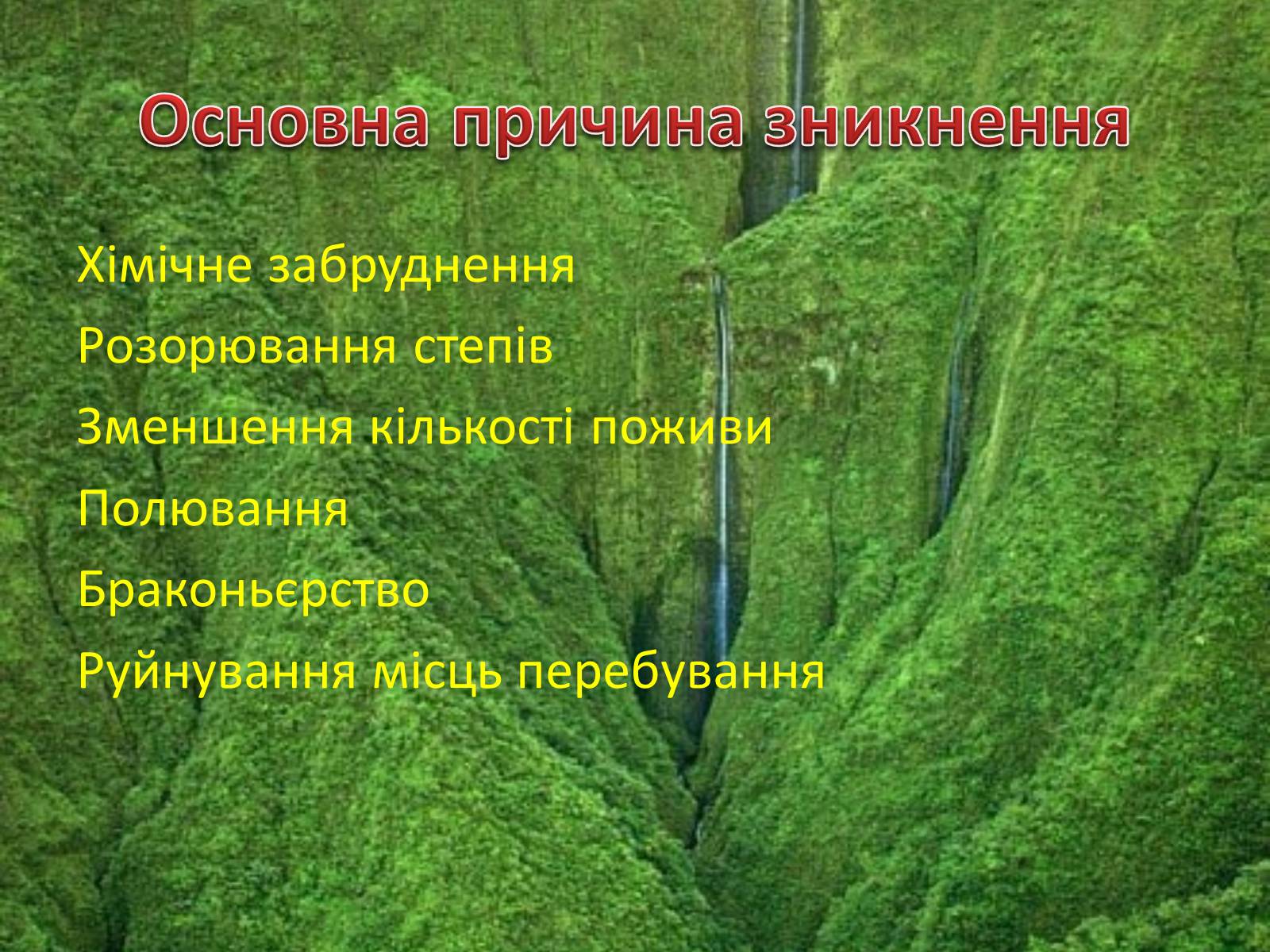 Презентація на тему «Червона книга україни» (варіант 5) - Слайд #33 Презентація на тему «Червона книга україни» (варіант 5) - Слайд #33