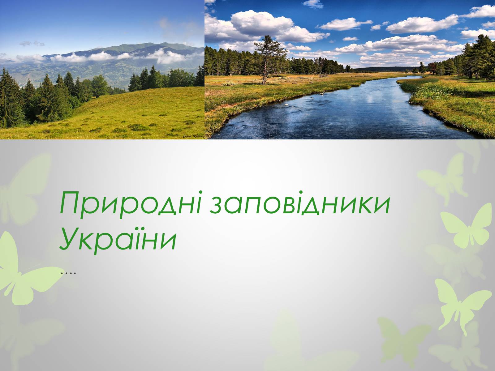 Презентація на тему «Природні заповідники України» (варіант 3) - Слайд #1 Презентація на тему «Природні заповідники України» (варіант 3) - Слайд #1