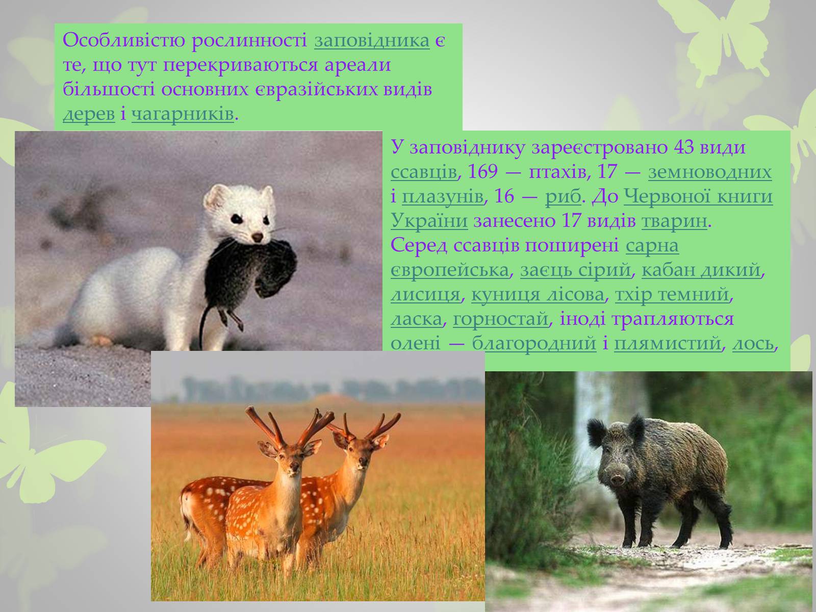 Презентація на тему «Природні заповідники України» (варіант 3) - Слайд #10 Презентація на тему «Природні заповідники України» (варіант 3) - Слайд #10