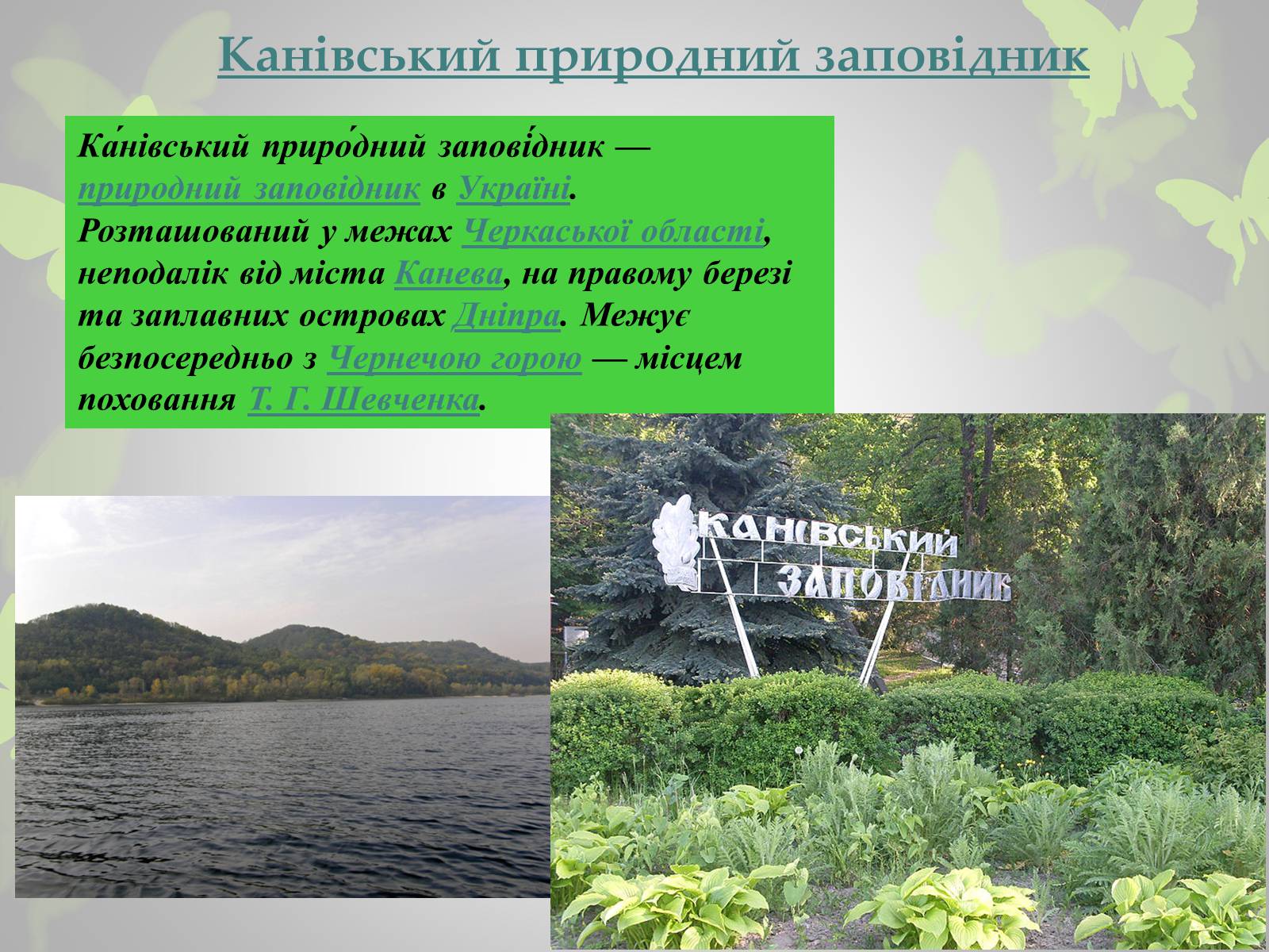 Презентація на тему «Природні заповідники України» (варіант 3) - Слайд #11 Презентація на тему «Природні заповідники України» (варіант 3) - Слайд #11