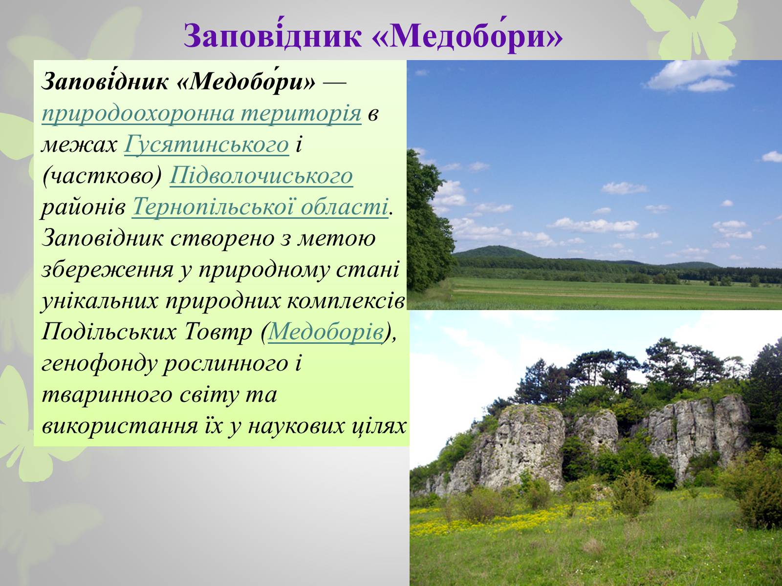 Презентація на тему «Природні заповідники України» (варіант 3) - Слайд #7 Презентація на тему «Природні заповідники України» (варіант 3) - Слайд #7