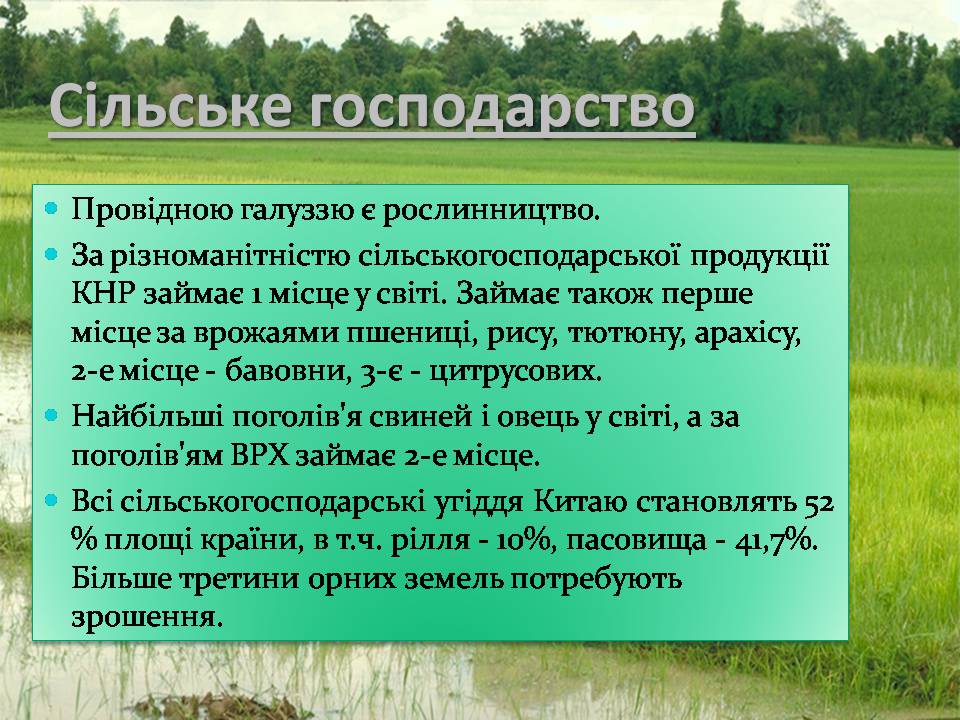 Презентація на тему «Китай» (варіант 31) - Слайд #21 Презентація на тему «Китай» (варіант 31) - Слайд #21