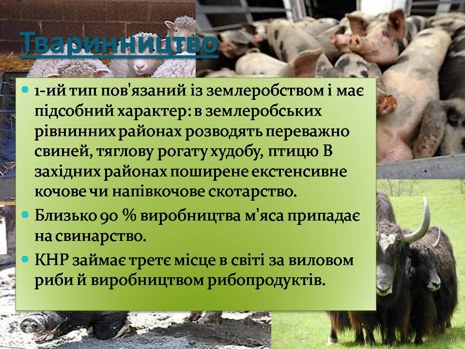 Презентація на тему «Китай» (варіант 31) - Слайд #23 Презентація на тему «Китай» (варіант 31) - Слайд #23