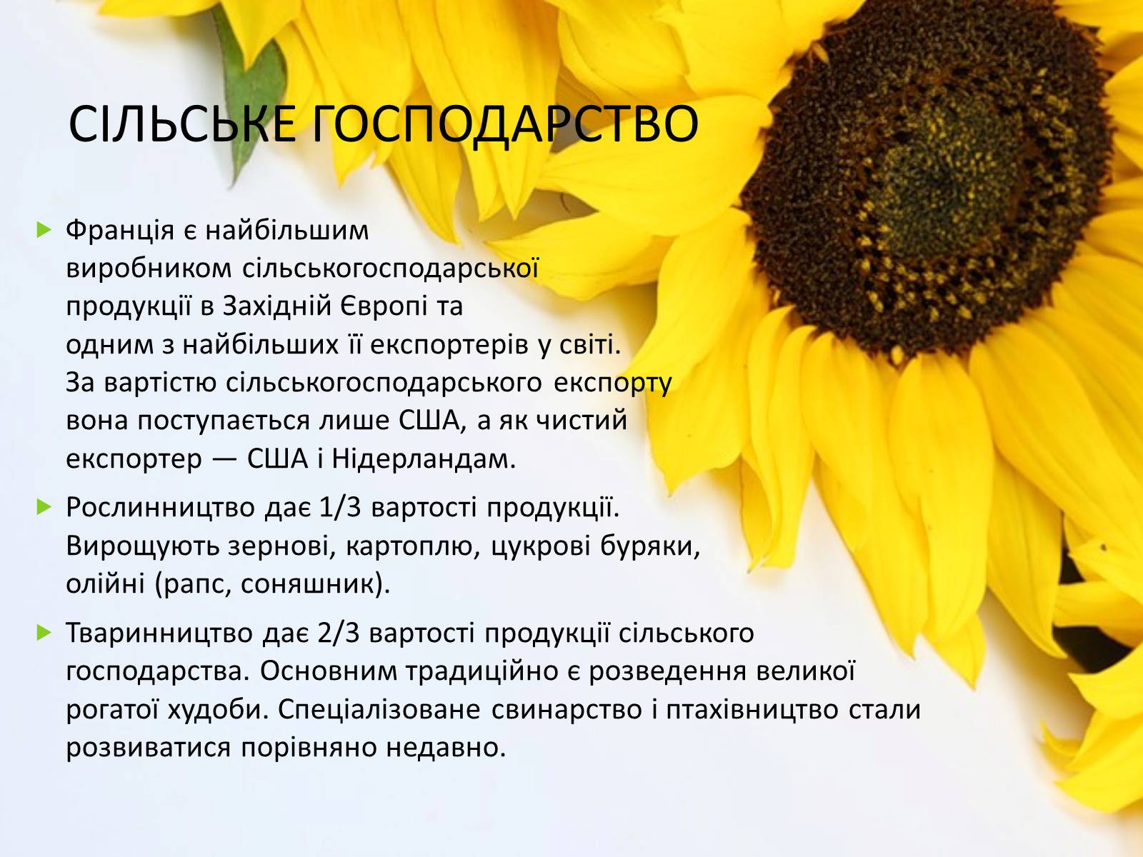 Презентація на тему «Франція» (варіант 17) - Слайд #12 Презентація на тему «Франція» (варіант 17) - Слайд #12