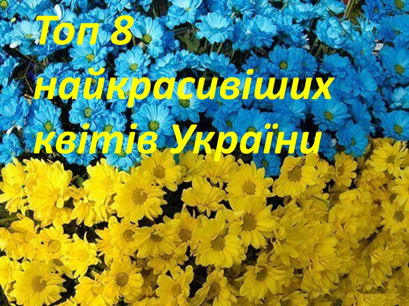 Презентація на тему «Рослинний світ України» - Слайд #16 Презентація на тему «Рослинний світ України» - Слайд #16