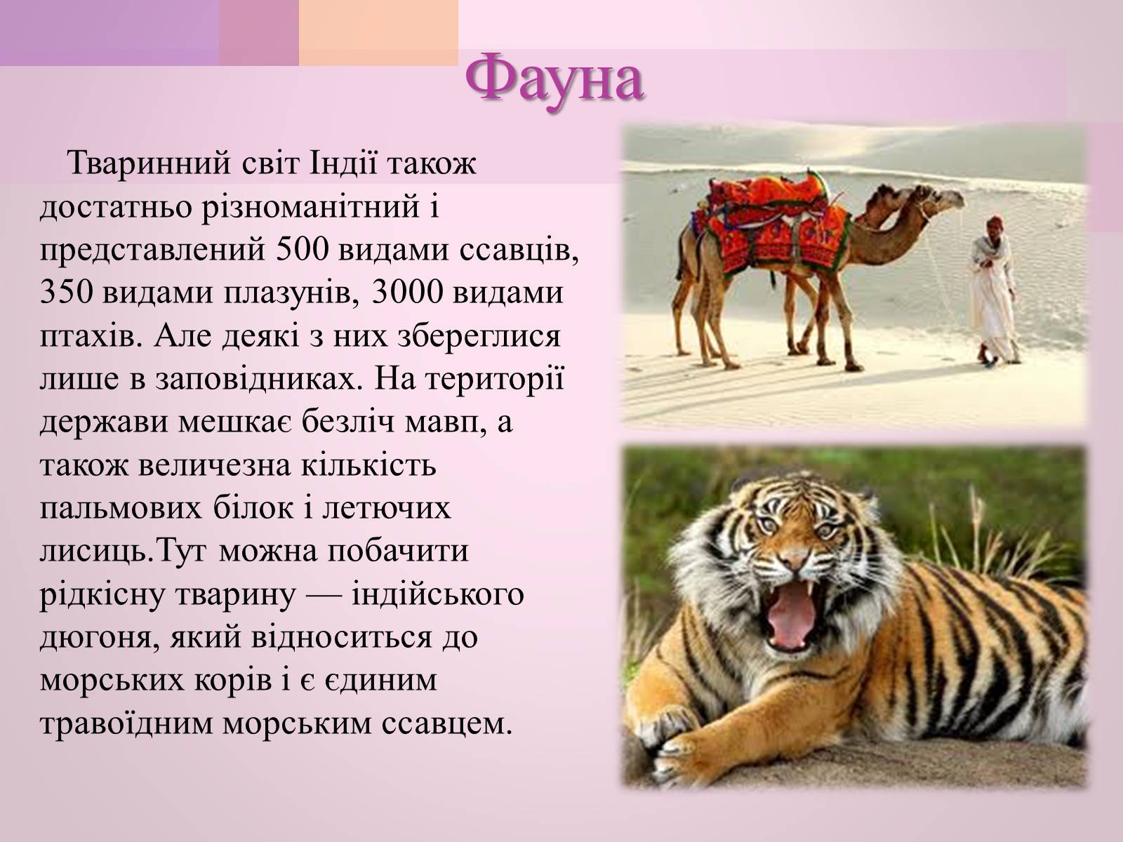 Презентація на тему «Індія» (варіант 12) - Слайд #6 Презентація на тему «Індія» (варіант 12) - Слайд #6
