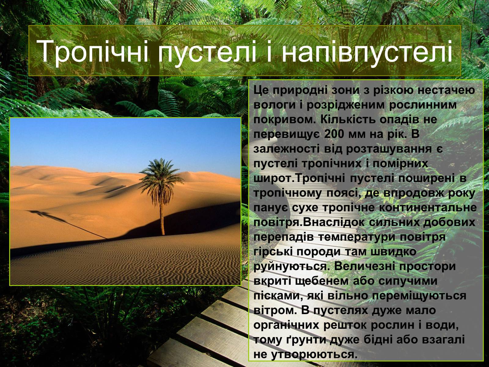 Презентація на тему «Природні зони Євразії» - Слайд #5 Презентація на тему «Природні зони Євразії» - Слайд #5